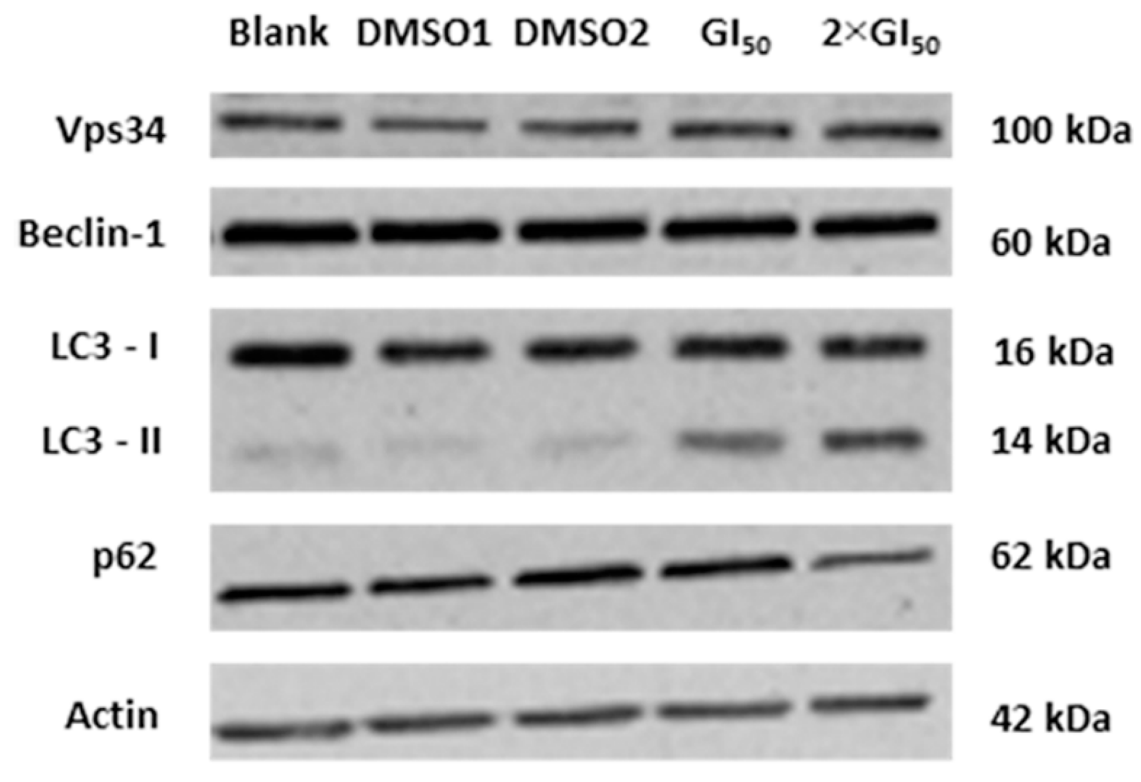 Molecules 20 17872 g003