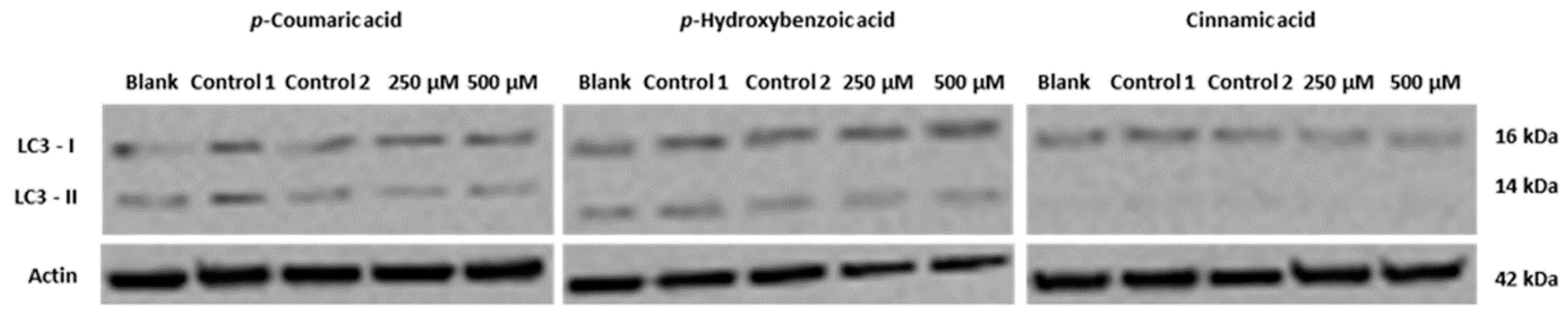 Molecules 20 17872 g005