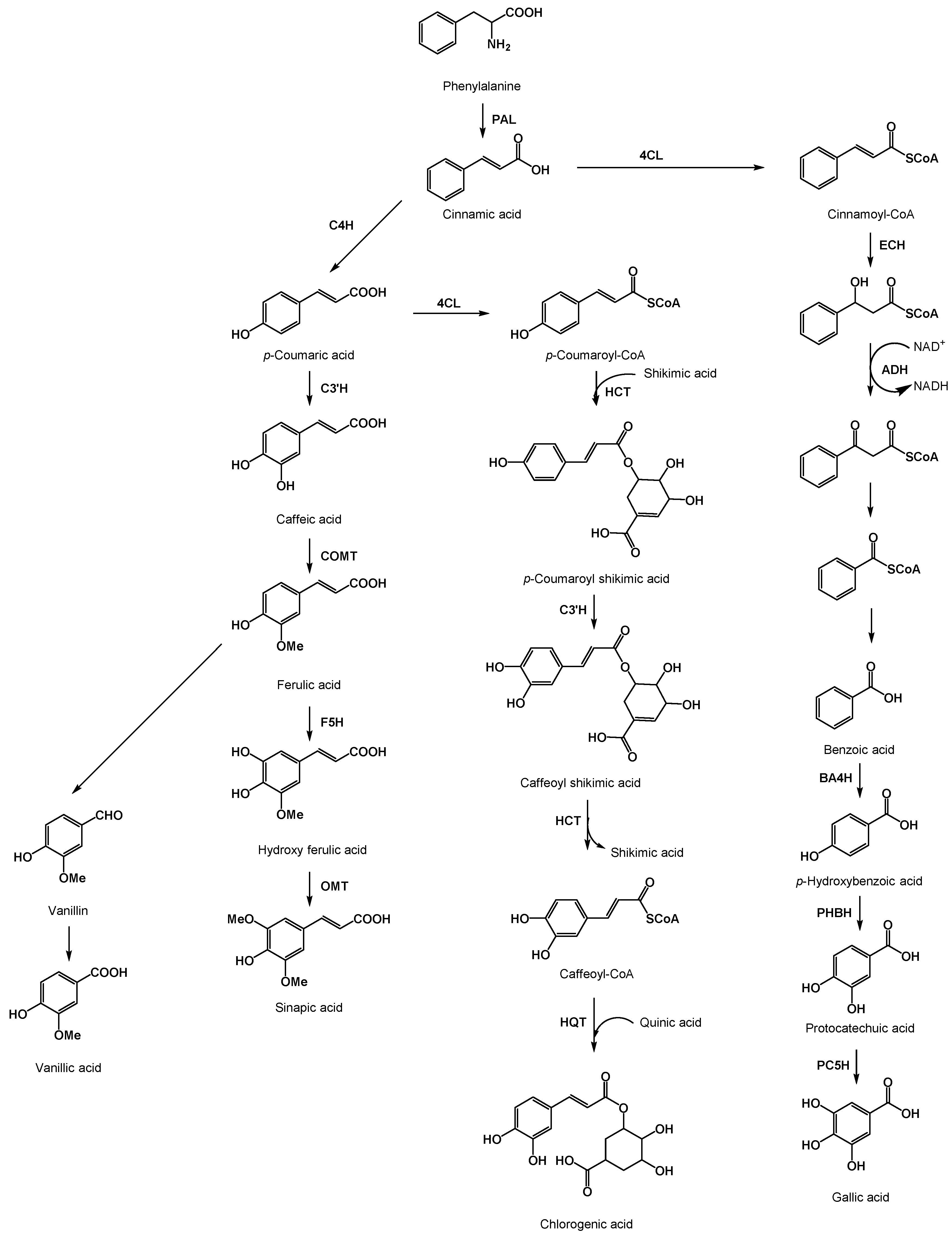 Molecules 20 18464 g003