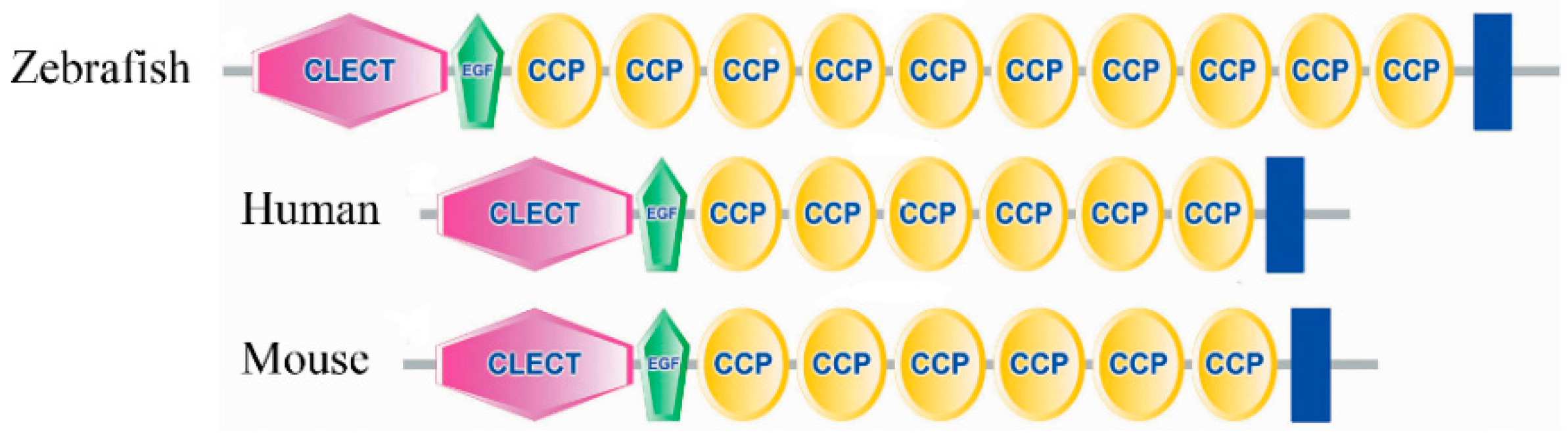 Molecules 20 18539 g002 550
