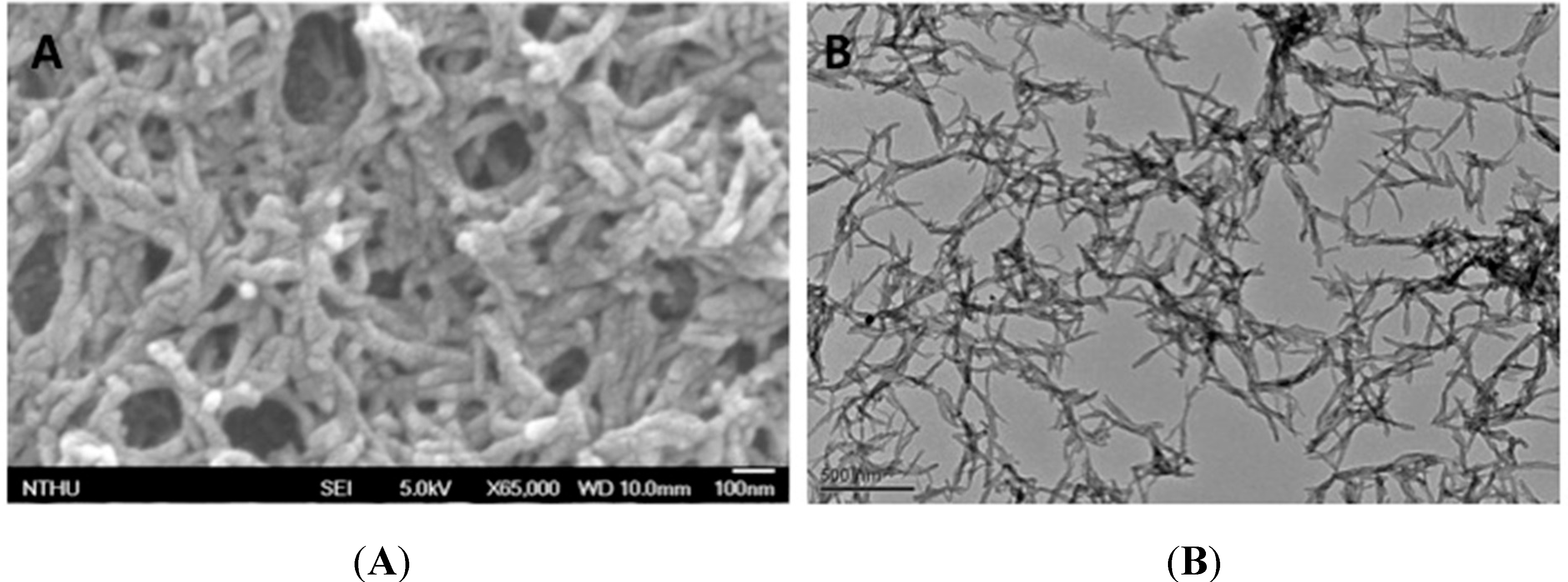 Molecules 20 18585 g005