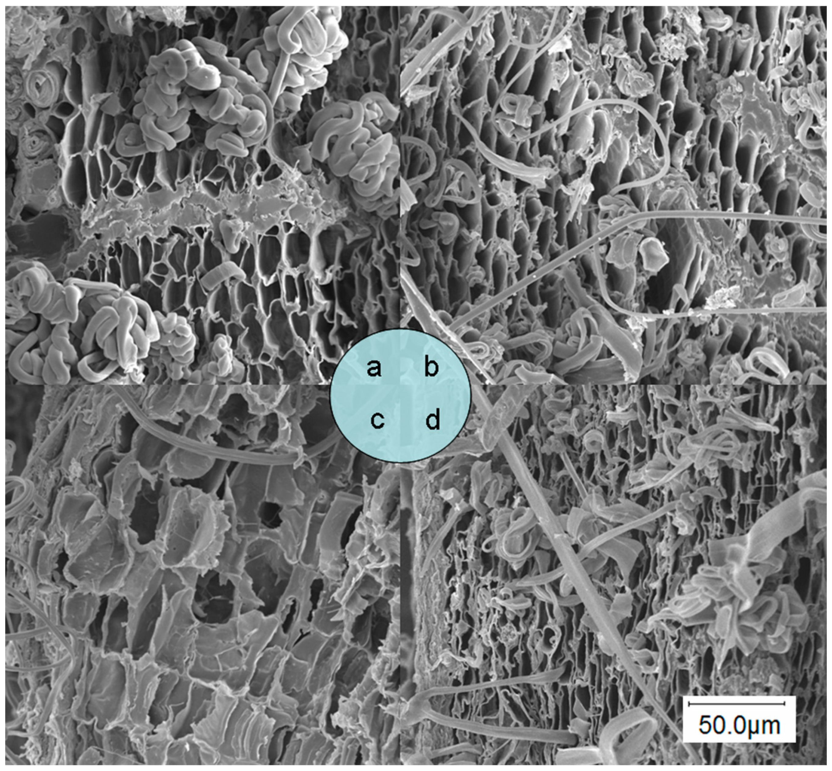 Molecules 20 18717 g006