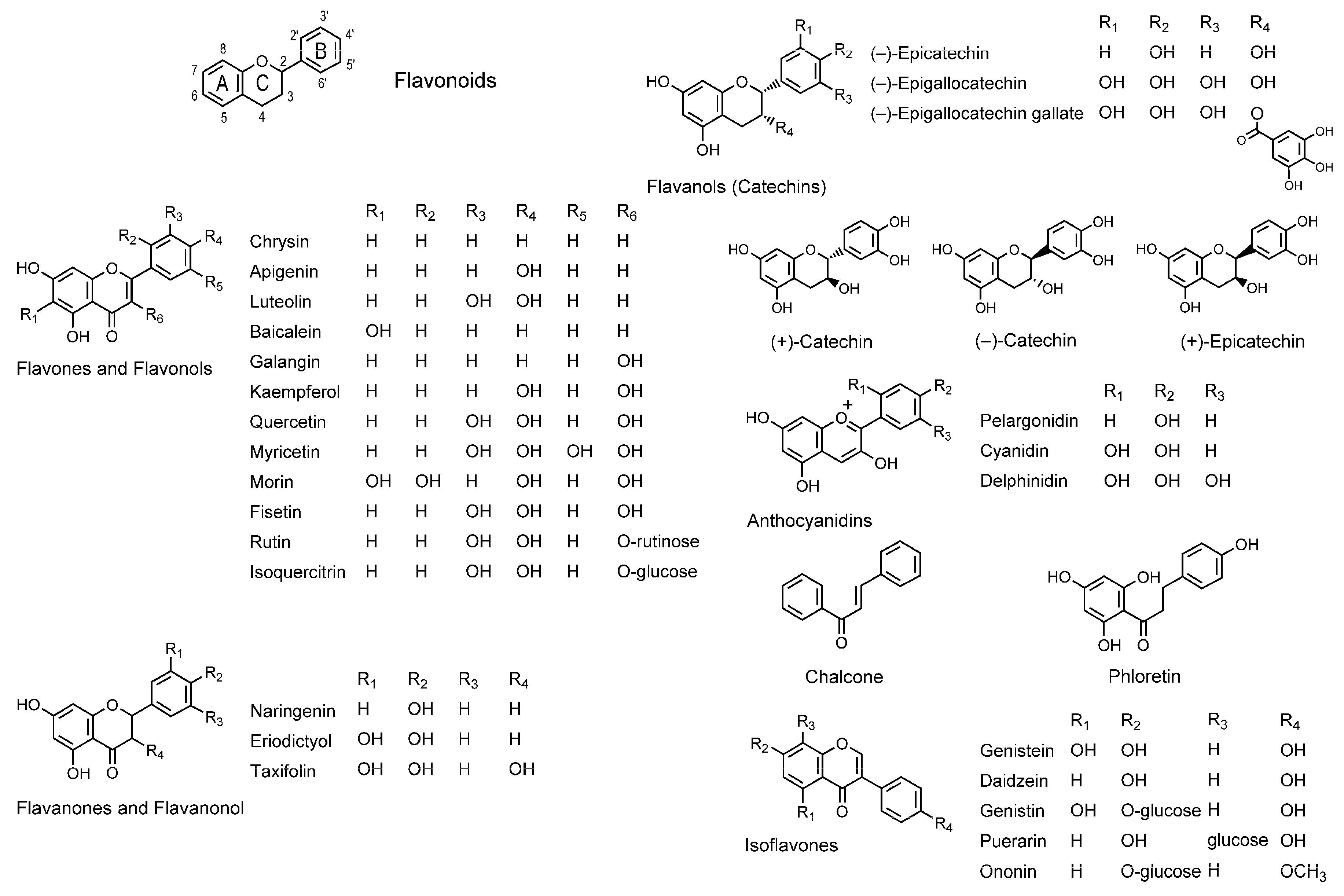 Molecules 20 18923 g001