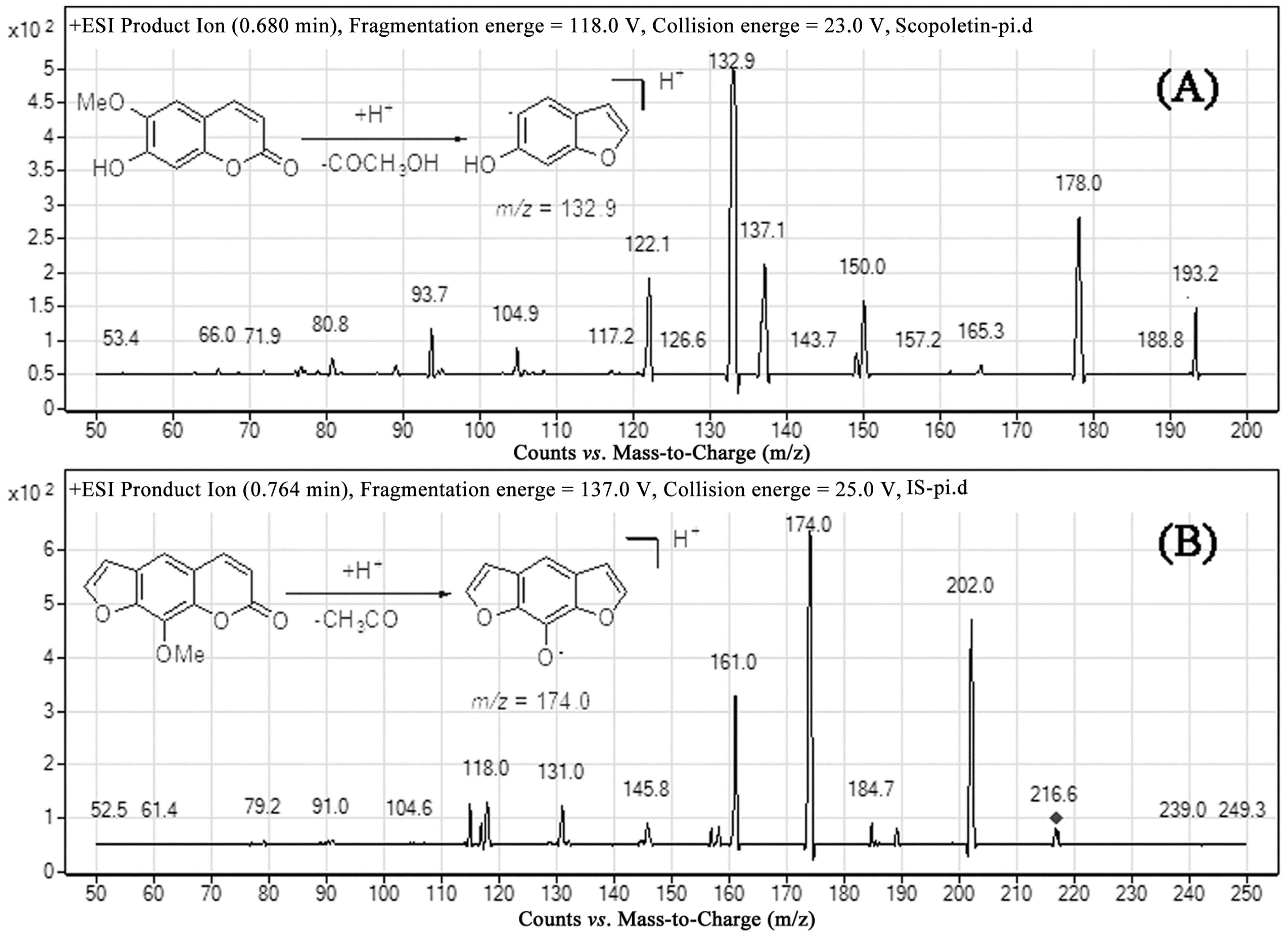 Validated LC-MS/MS Method for the Determination of