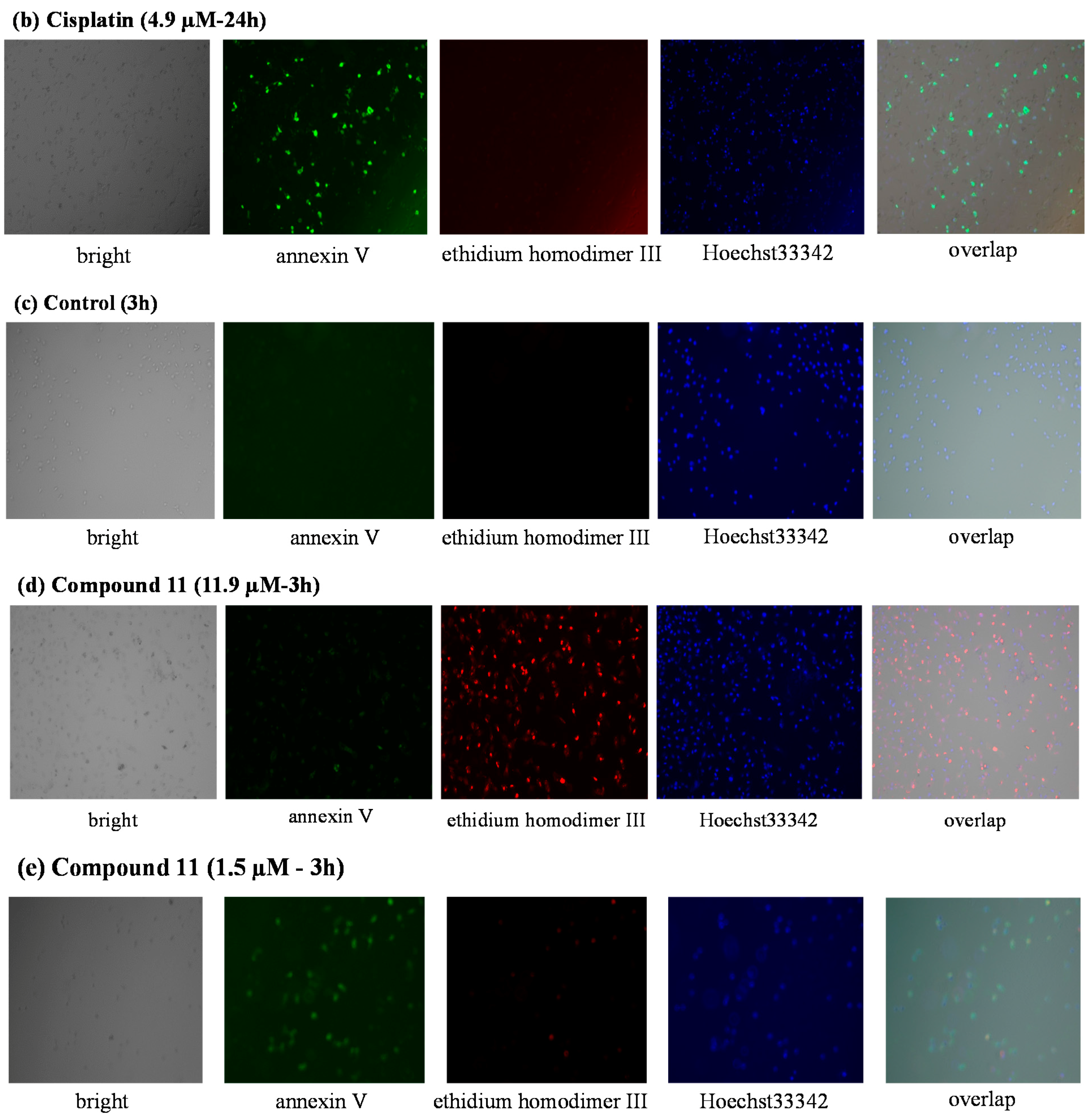 Molecules 20 19066 g004b