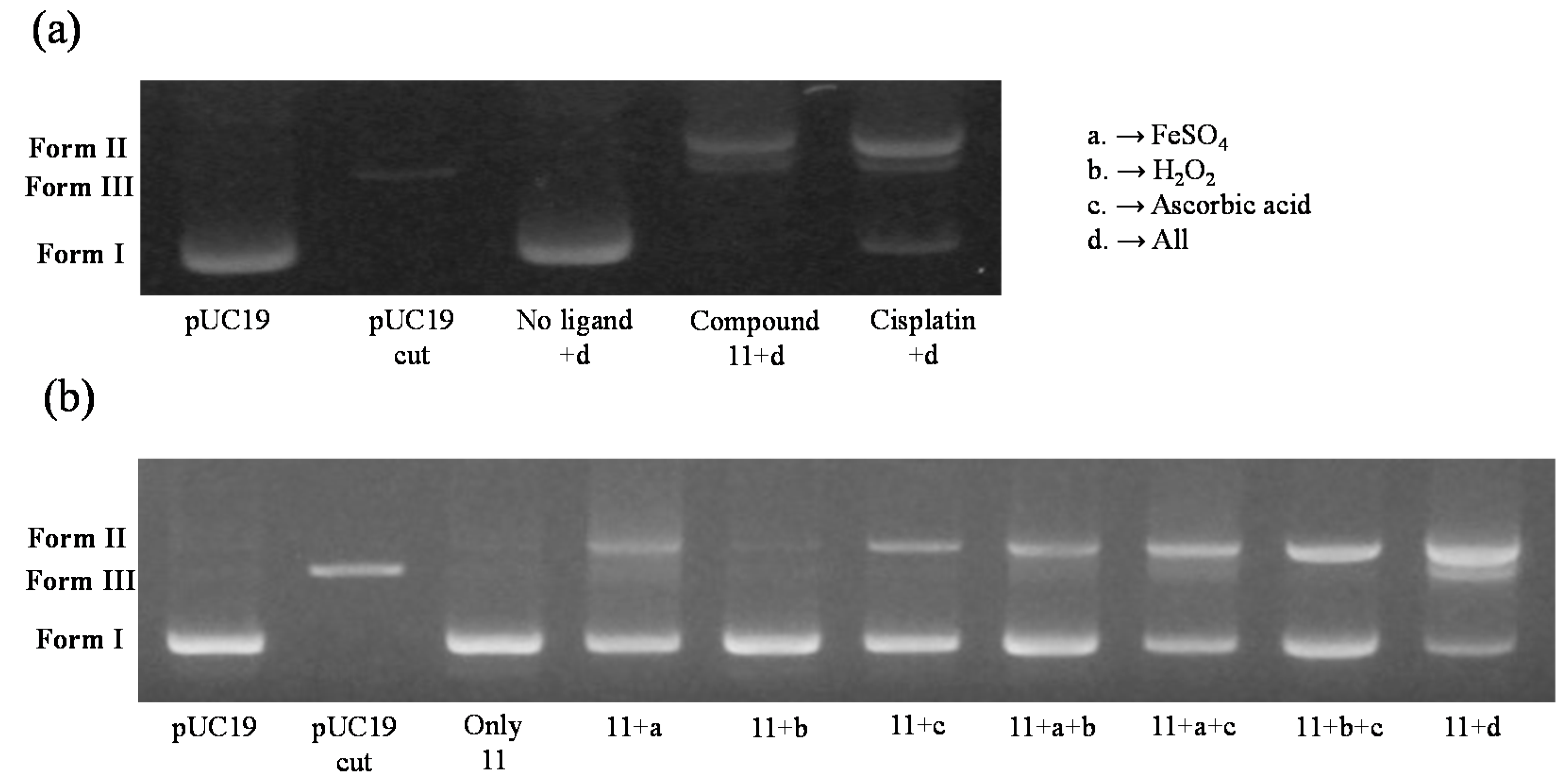 Molecules 20 19066 g005