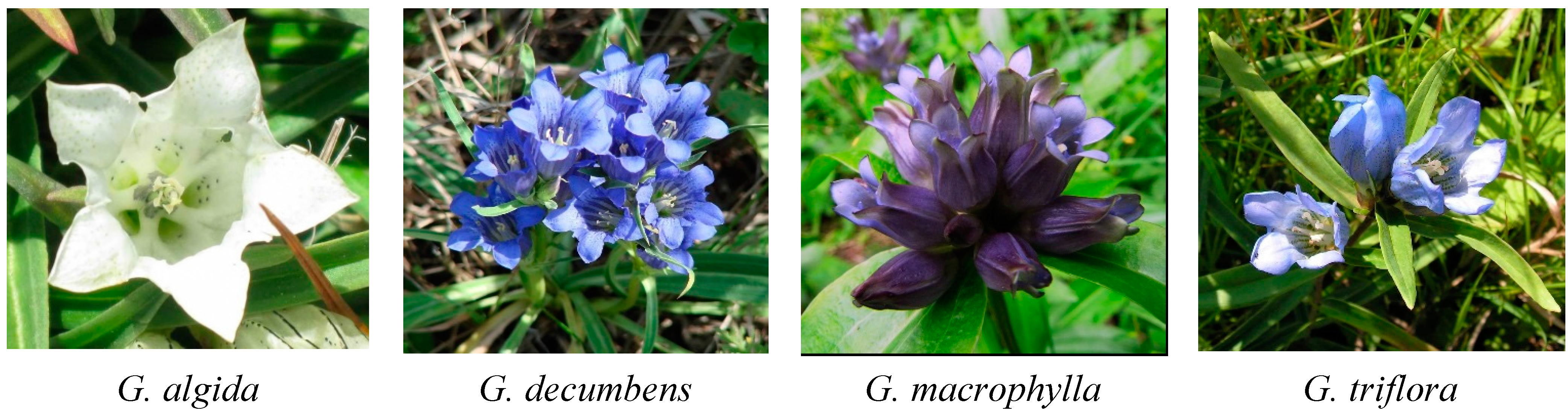 Molecules 20 19172 g001 550