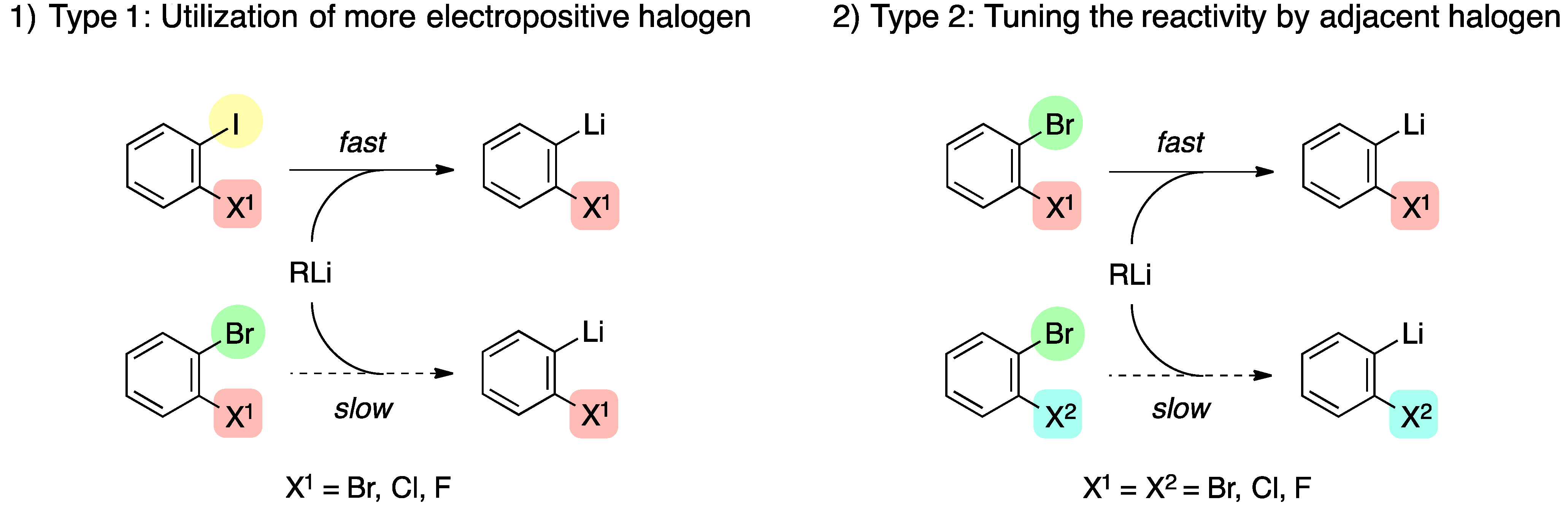 Molecules Free Full Text Selective Halogen Lithium Exchange Of 1 2 Dihaloarenes For Successive 2 4 Cycloadditions Of Arynes And Isobenzofurans Html