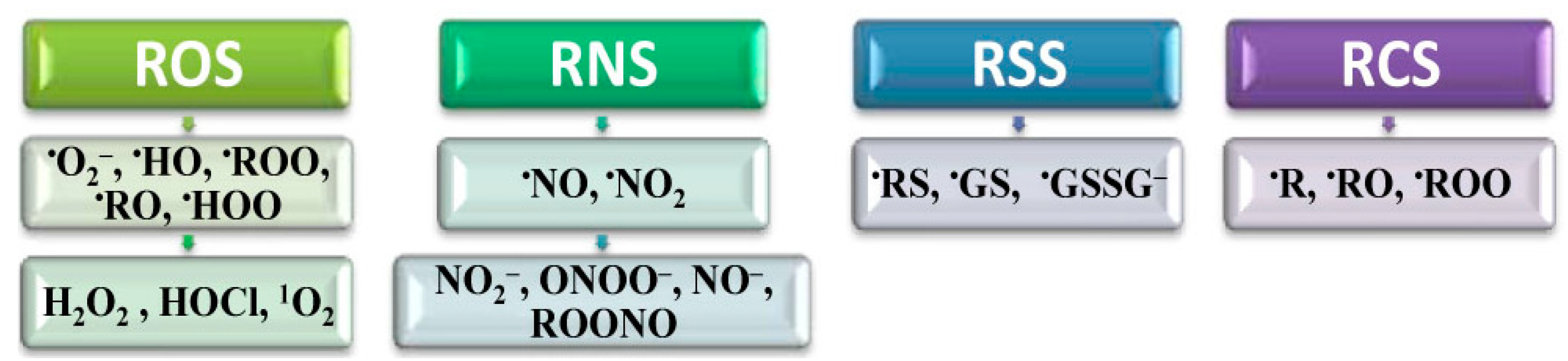 Molecules 20 19489 g002