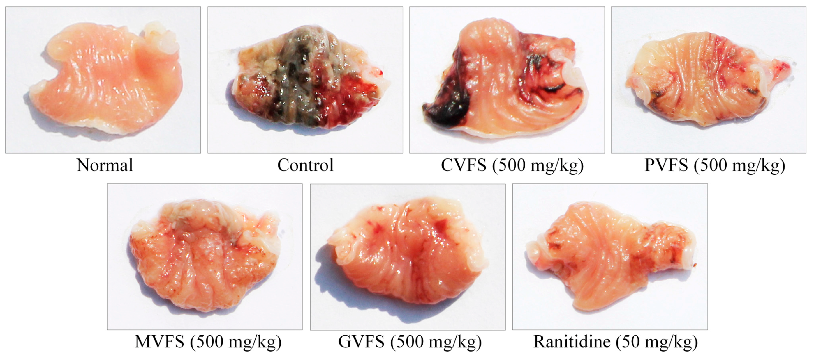 Molecules 20 19654 g001 550