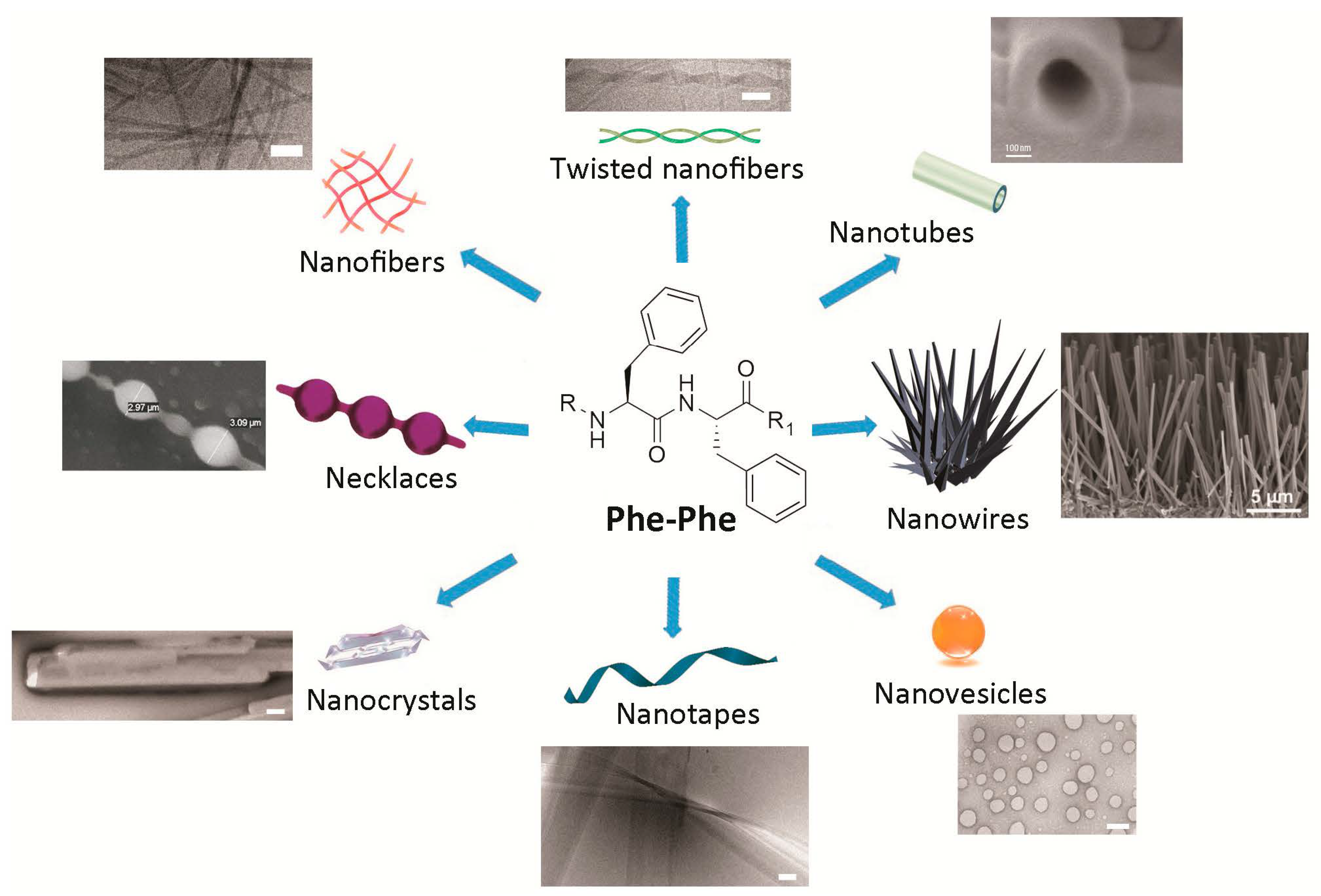 Molecules 20 19658 g001