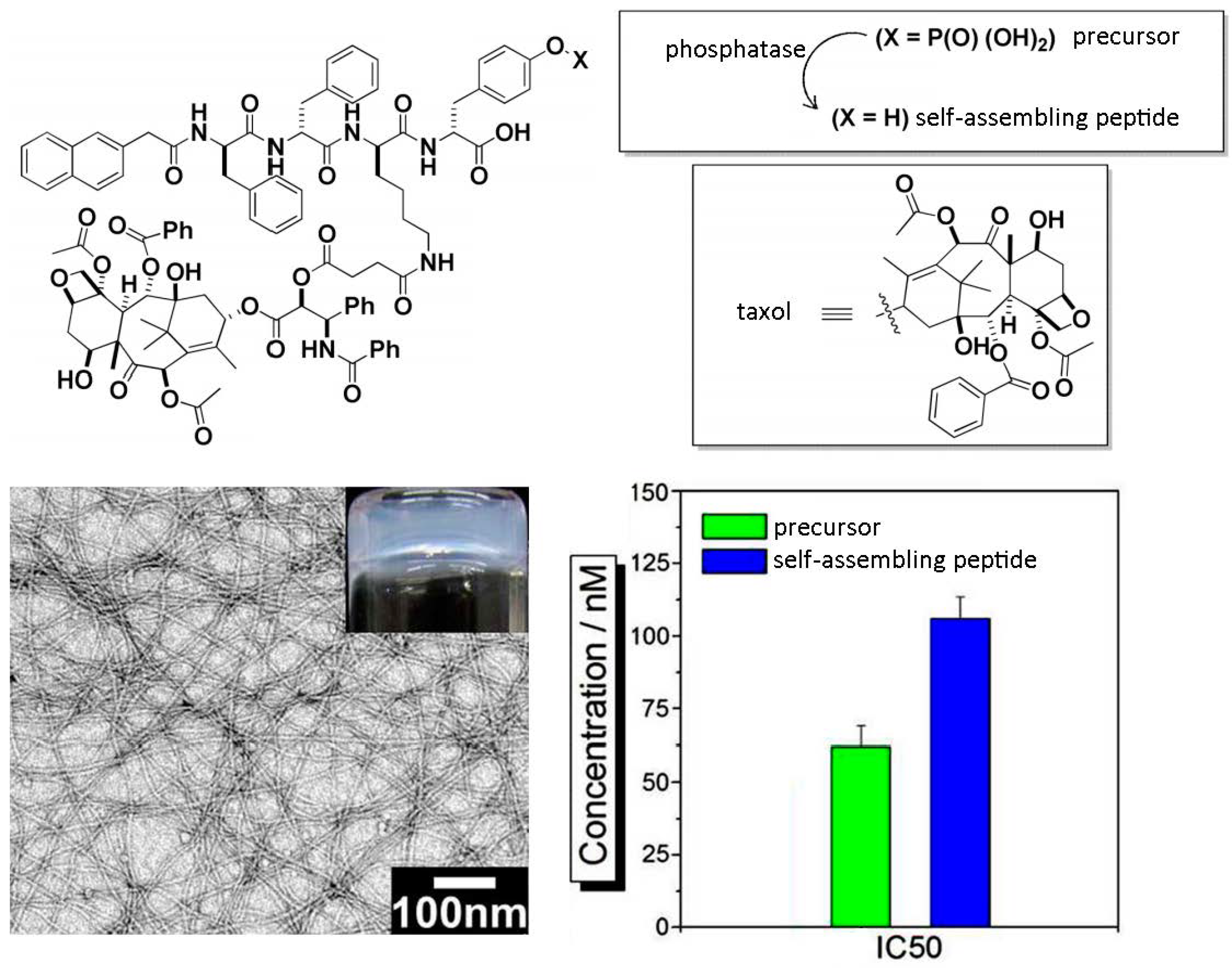 Molecules Free Full Text The Phe Phe Motif For Peptide - 