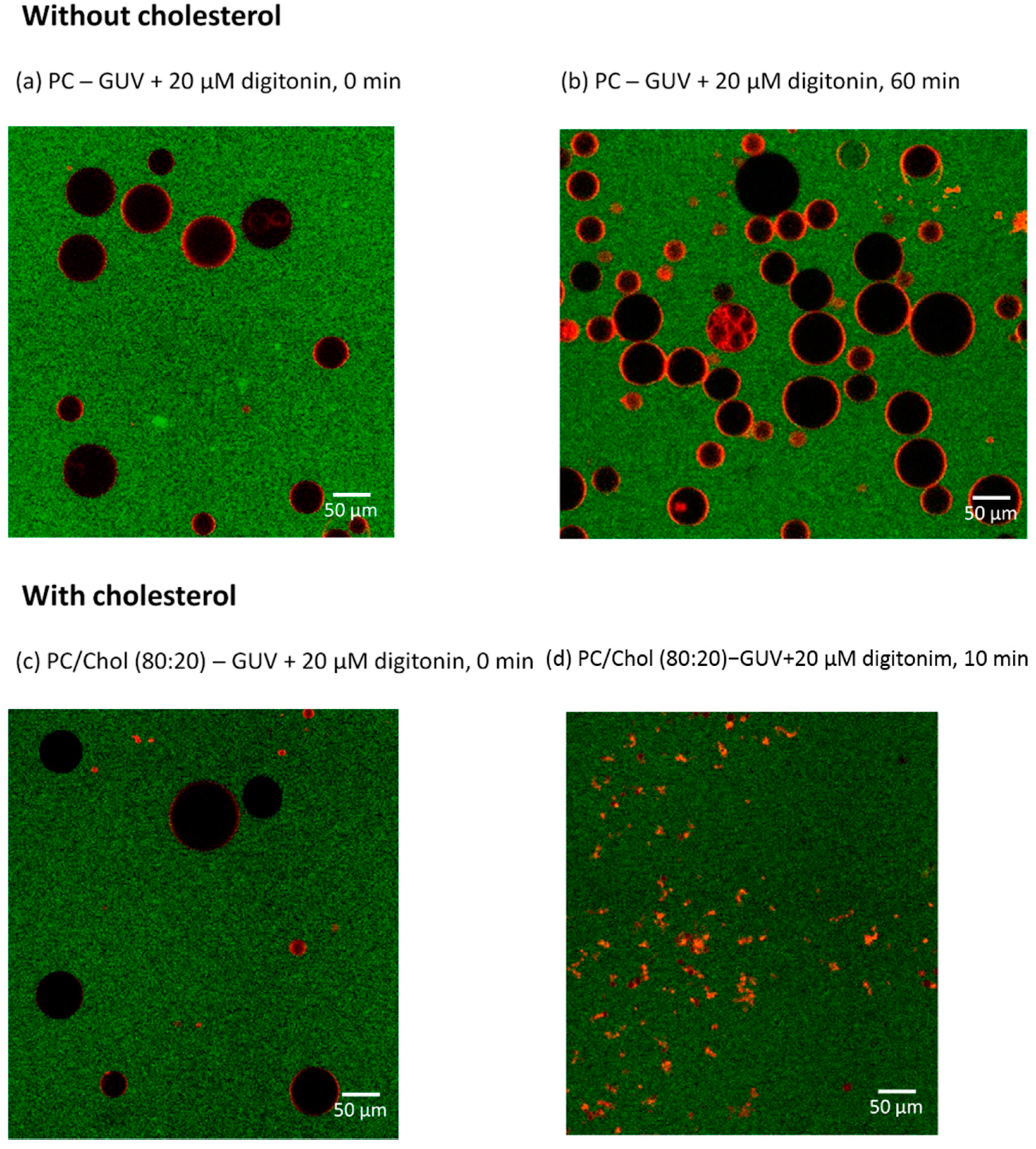 Molecules 20 19682 g006