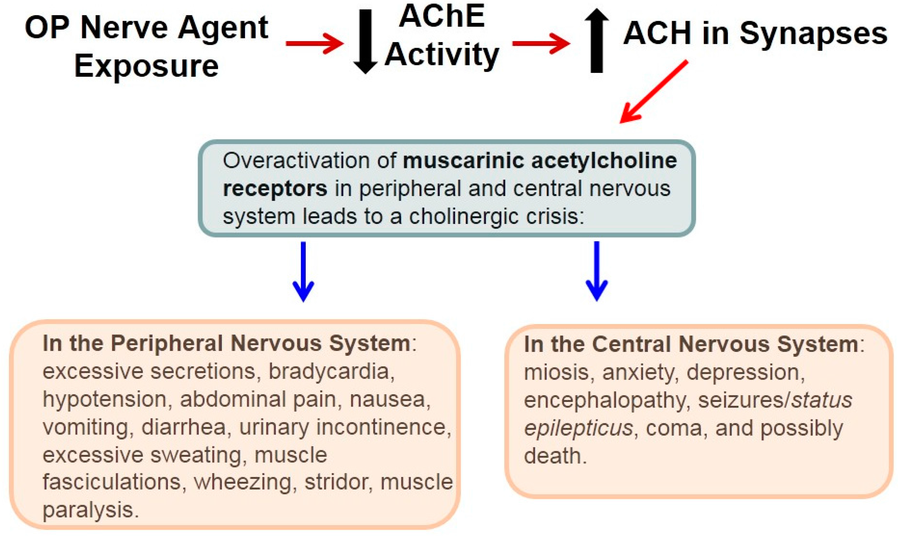 Molecules 20 19698 g001 550