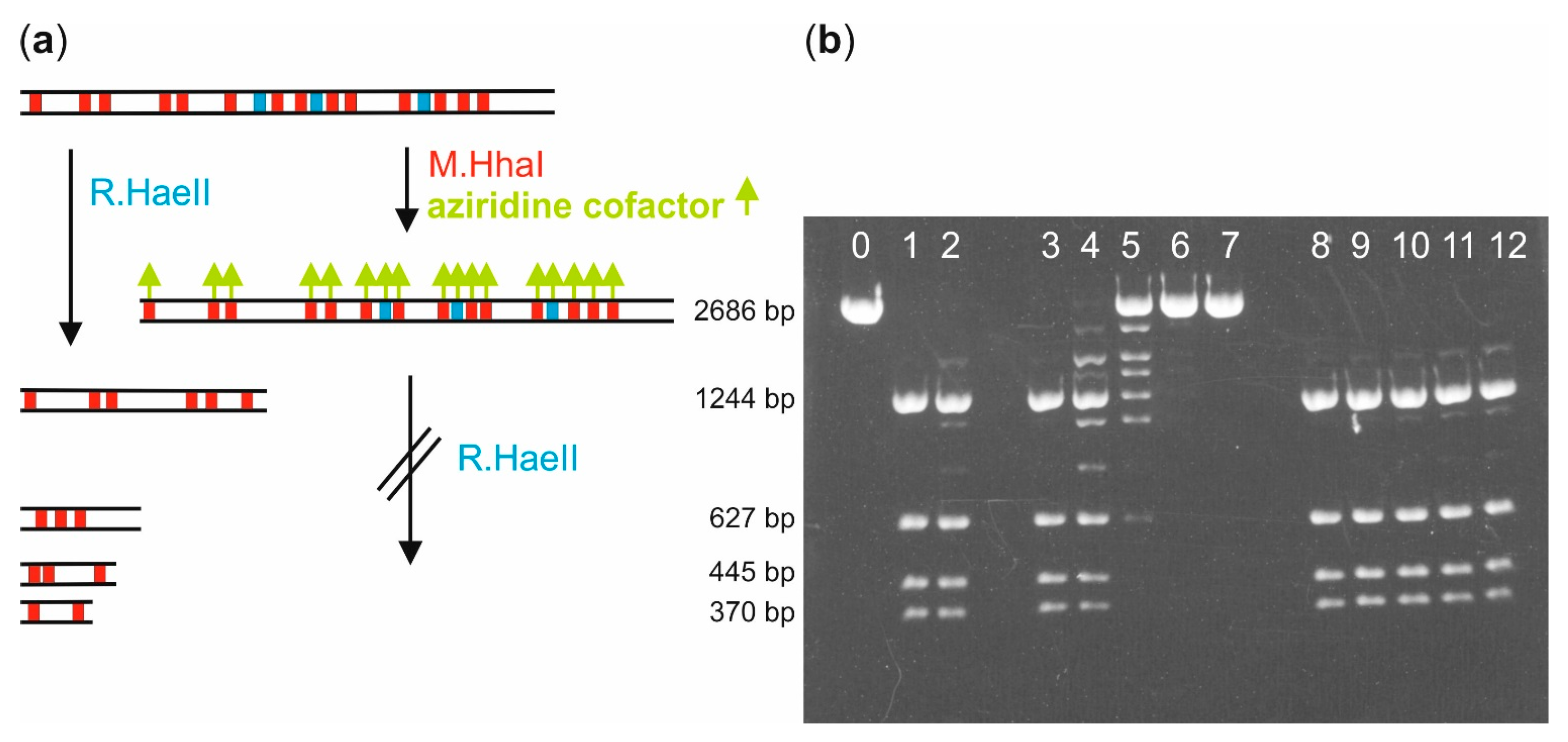 Molecules 20 19723 g003 550