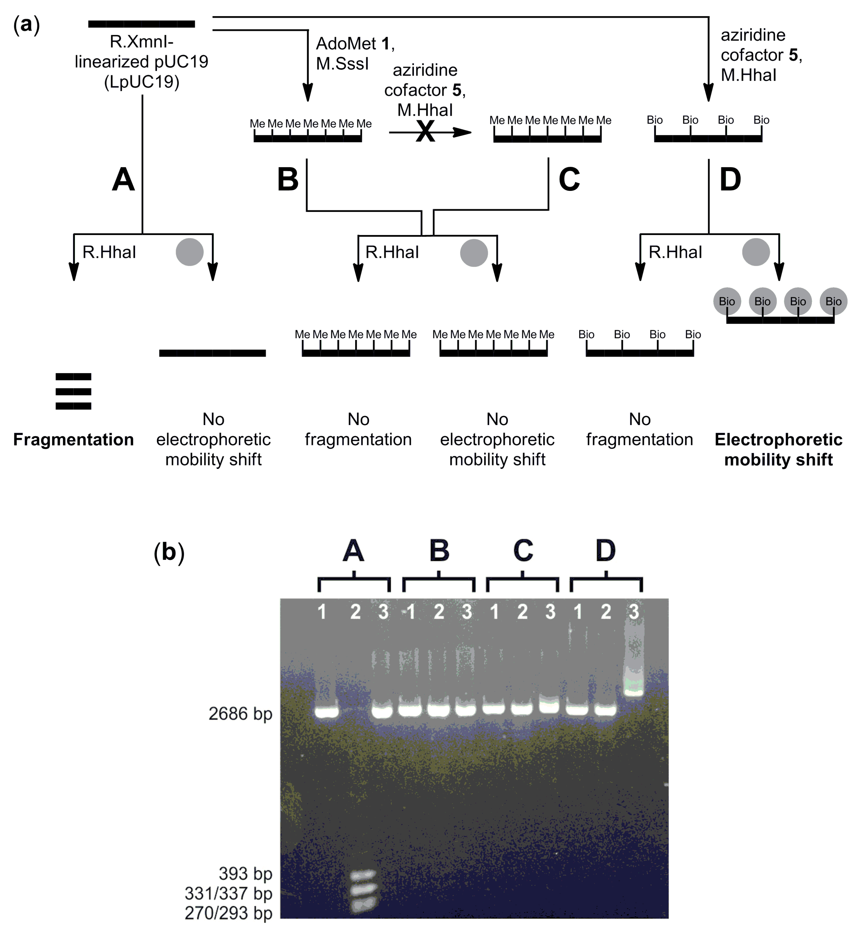 Molecules 20 19723 g005 550