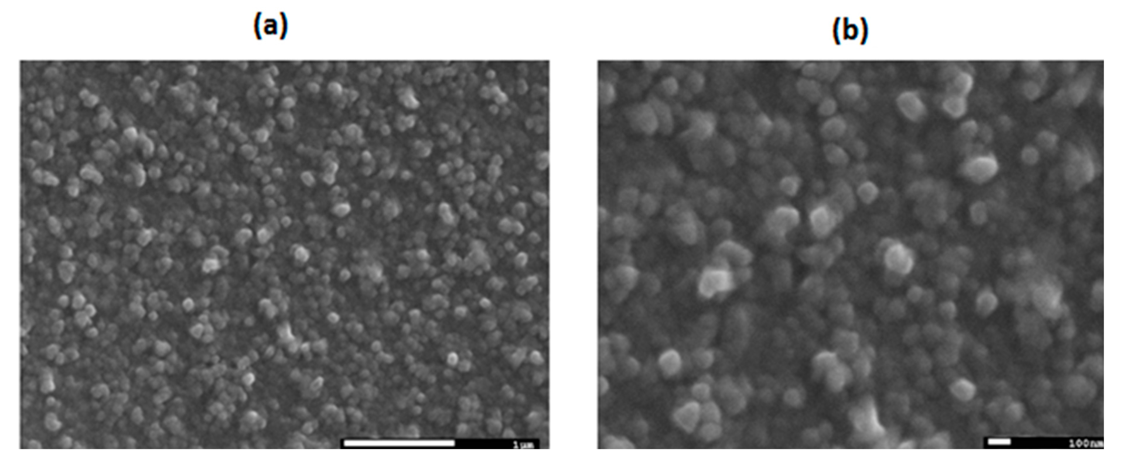 Molecules 20 19742 g002