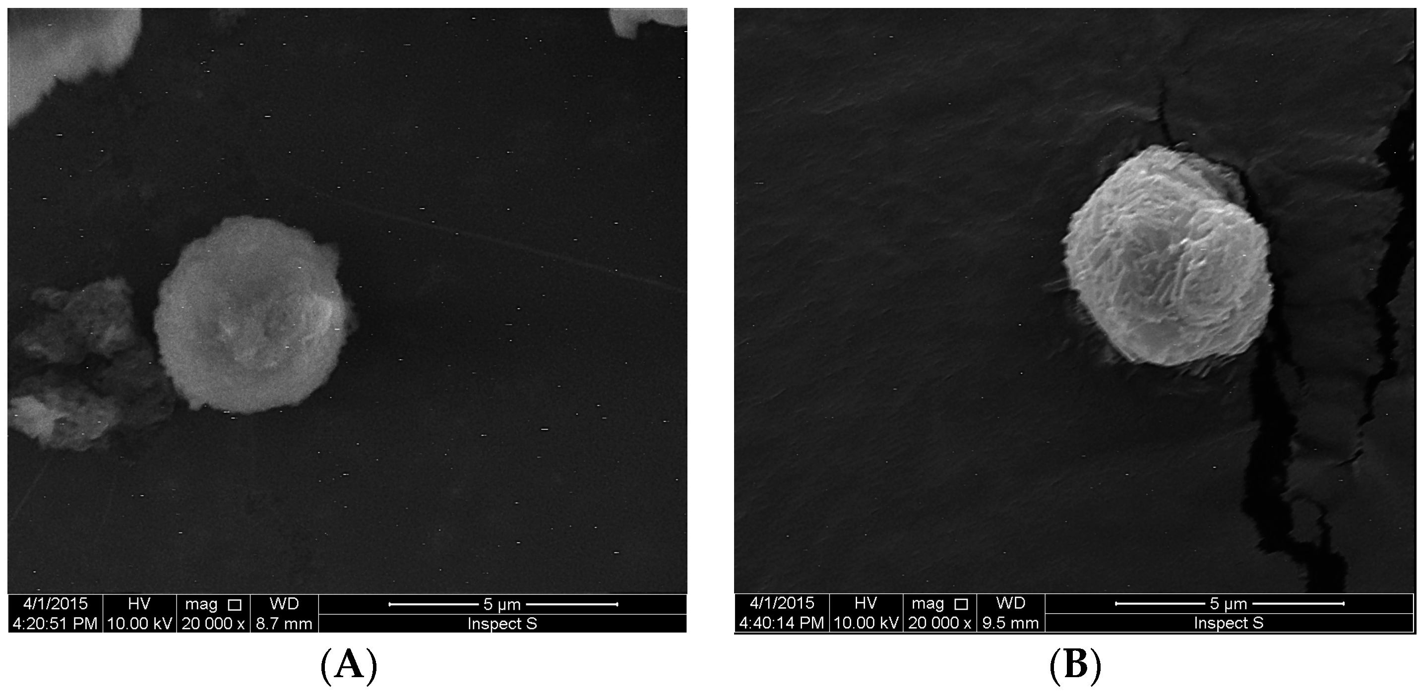 Molecules 20 19745 g003 550