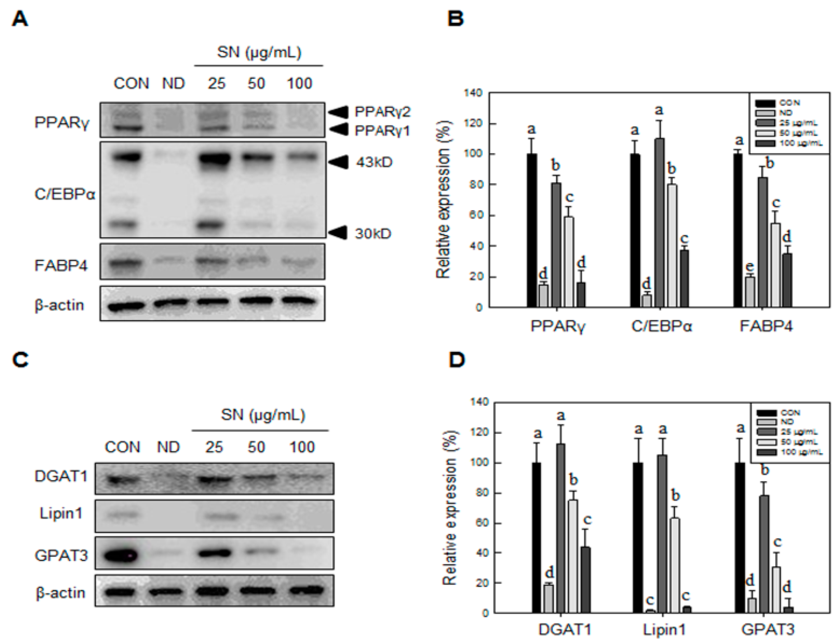 Molecules 20 19796 g002 550