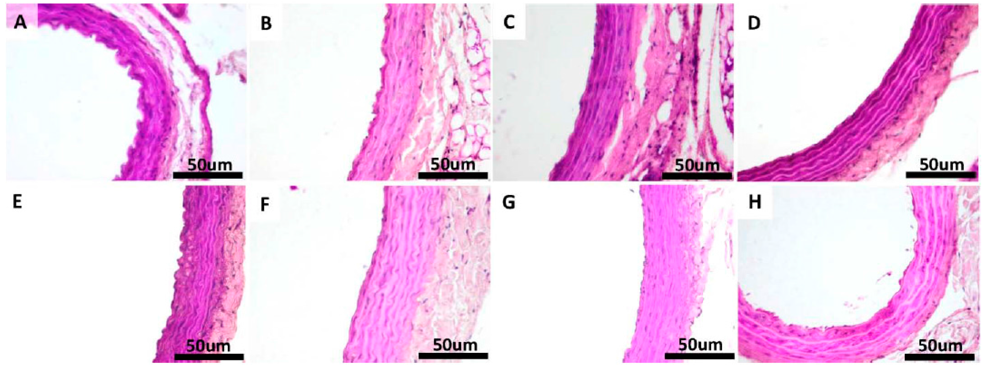 Molecules 20 19802 g009