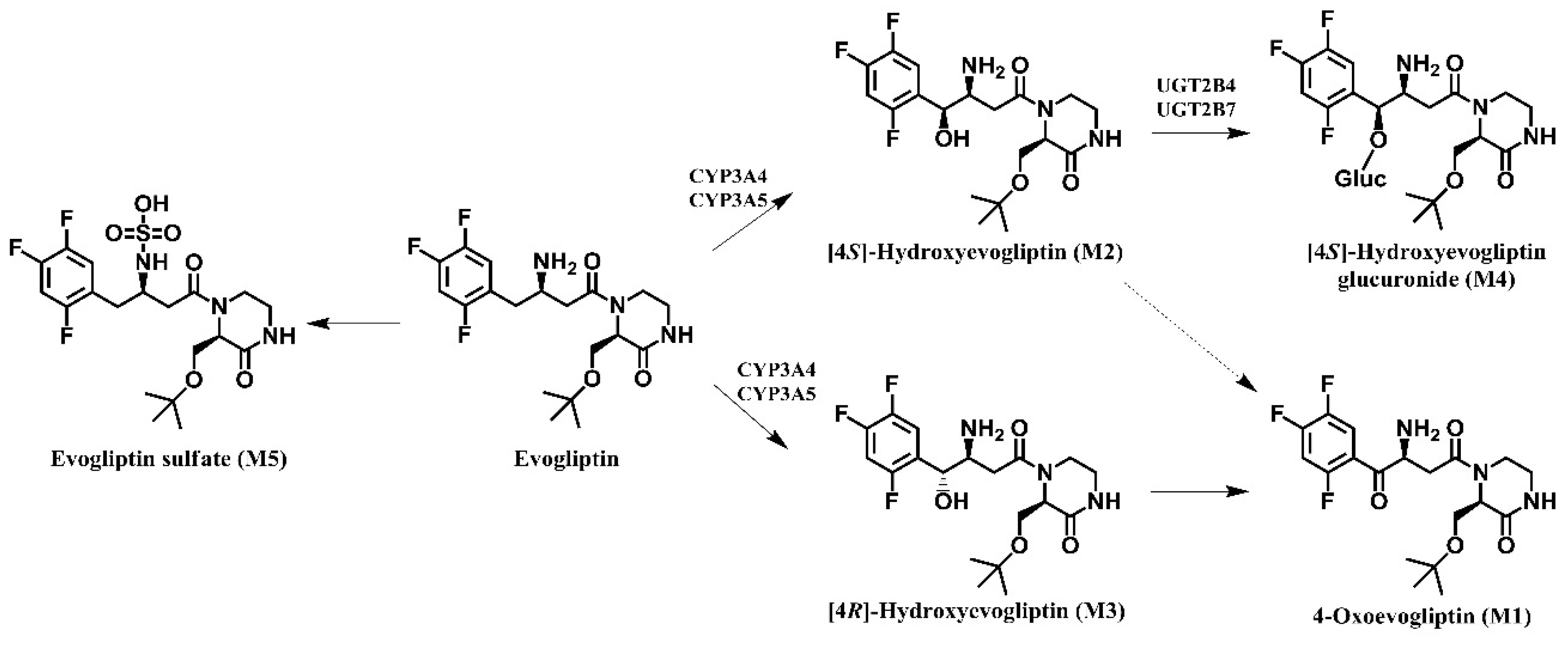 Molecules 20 19808 g007 550
