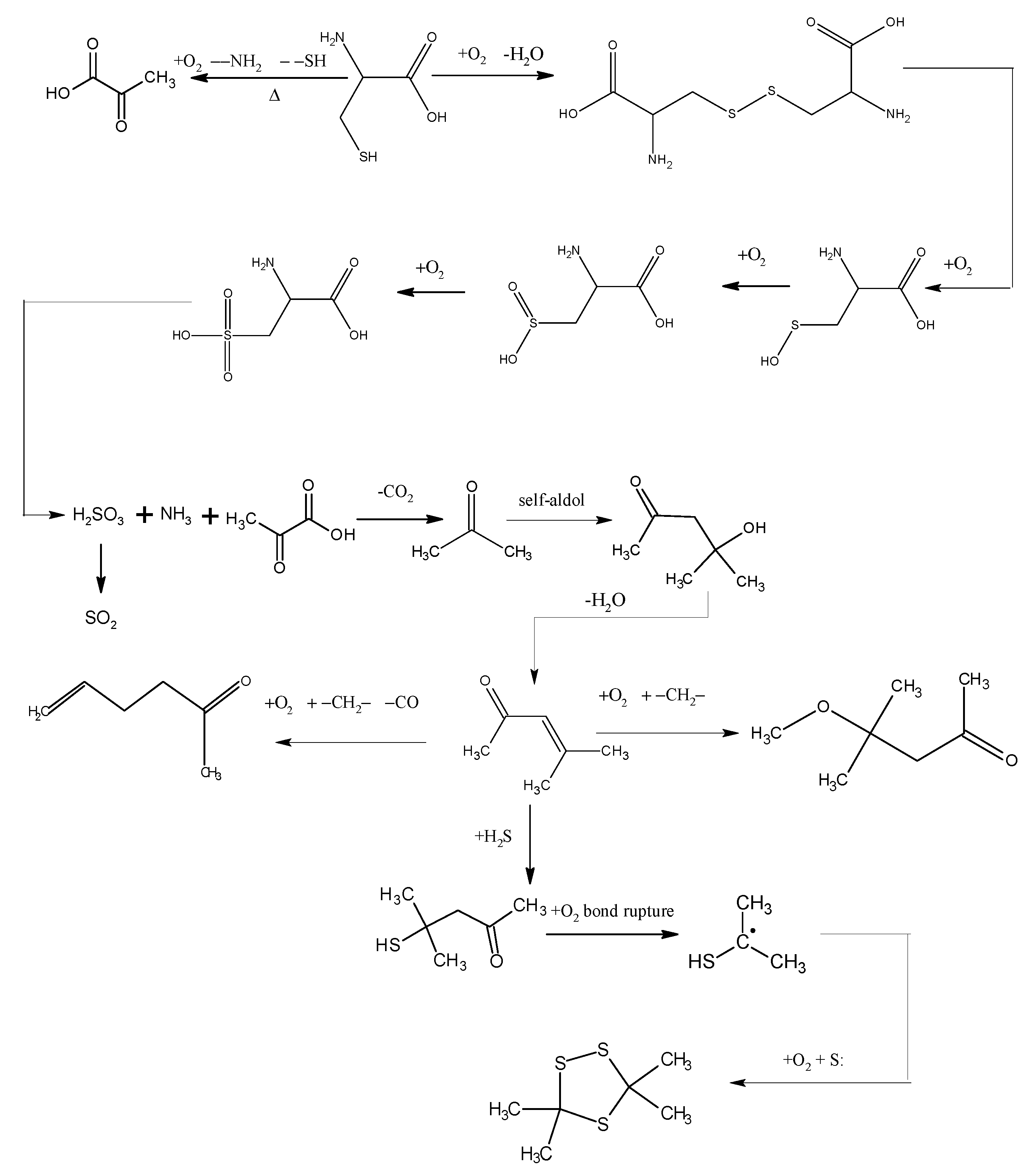 Molecules 20 19843 g006 550