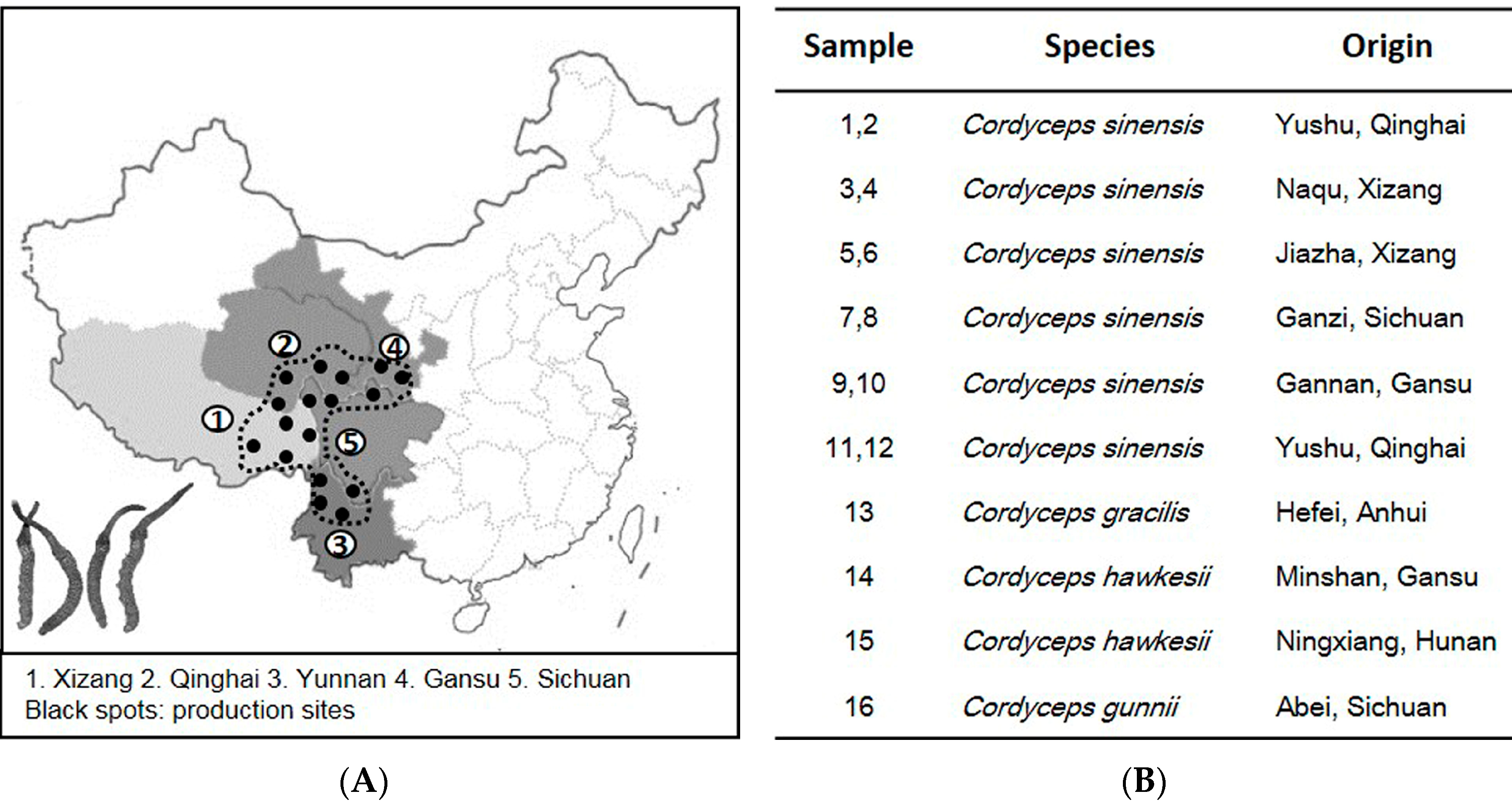 Molecules 20 19861 g001