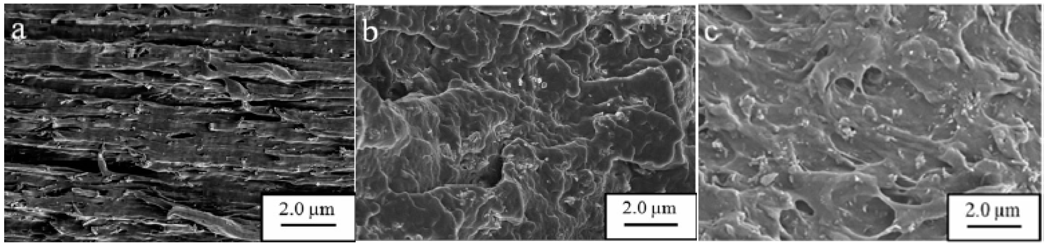 Molecules 20 19884 g008