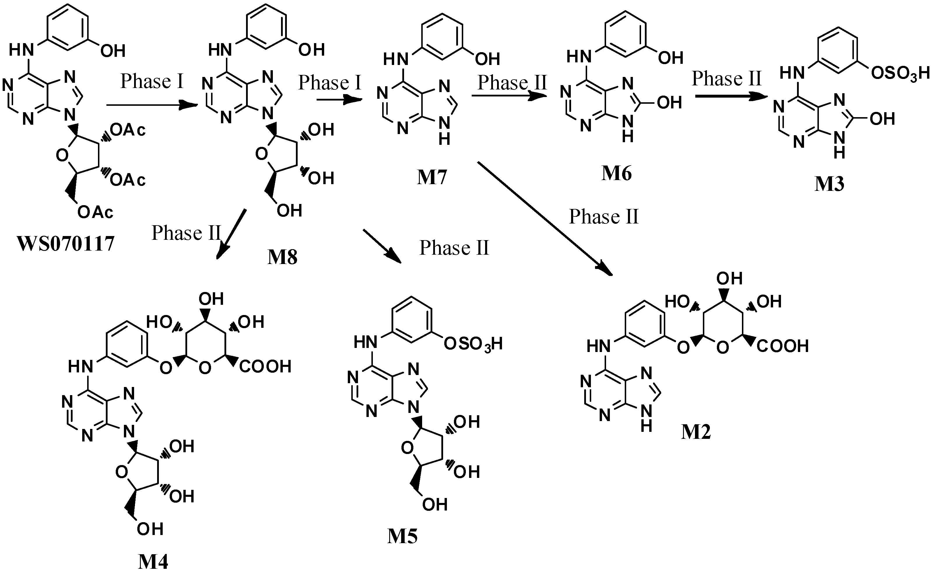 Molecules 21 00008 g001 550