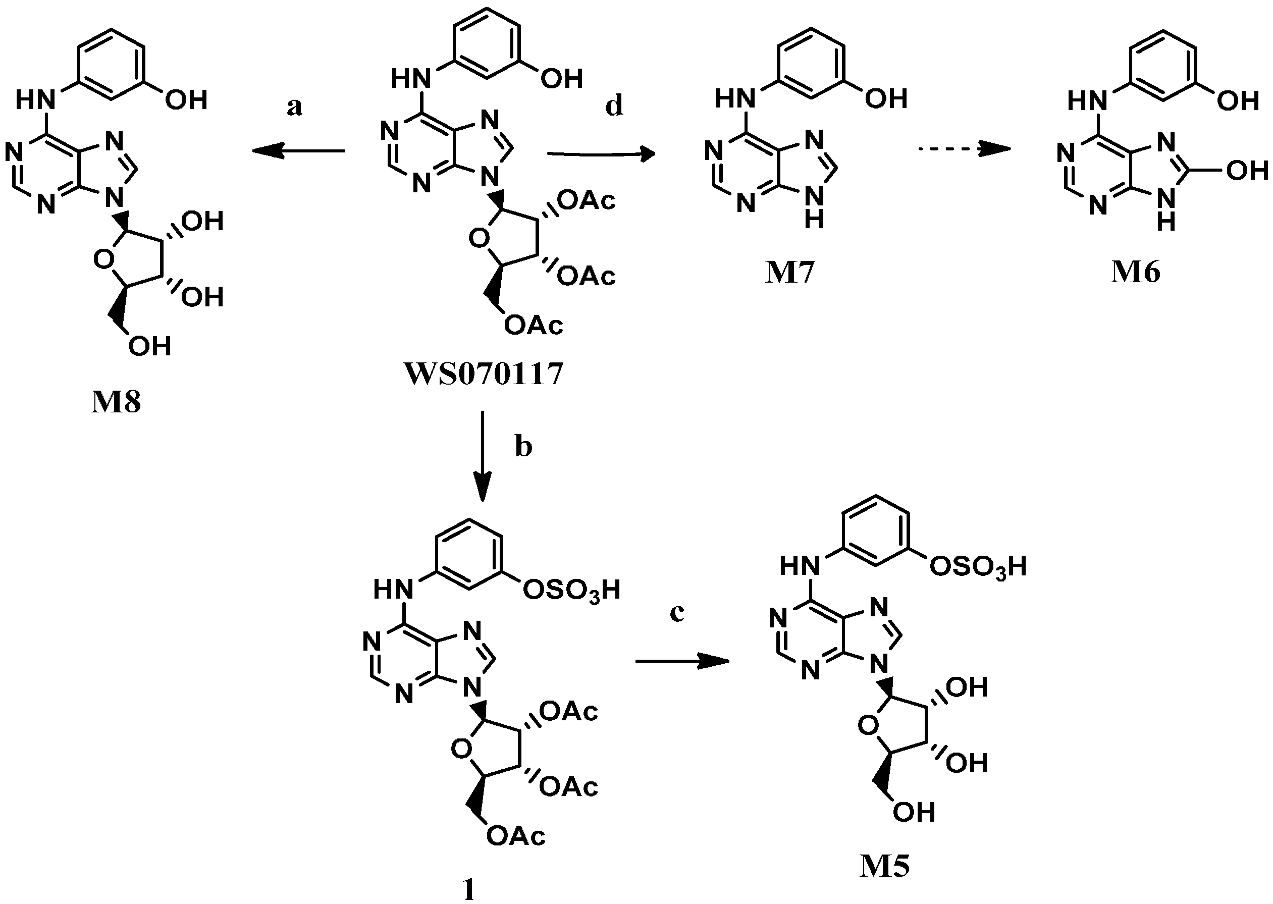 Molecules 21 00008 g002 550