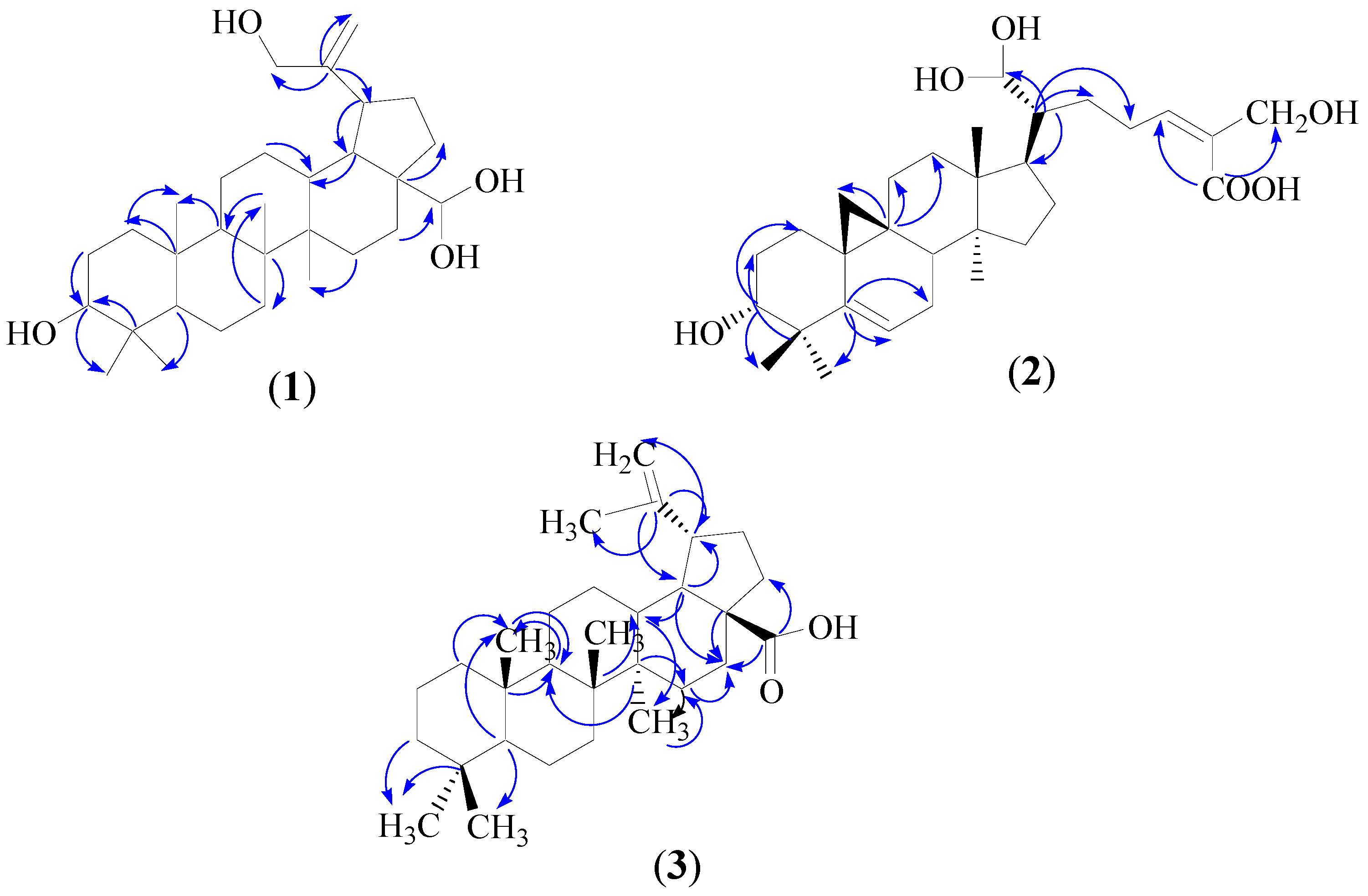 Molecules 21 00009 g002 550