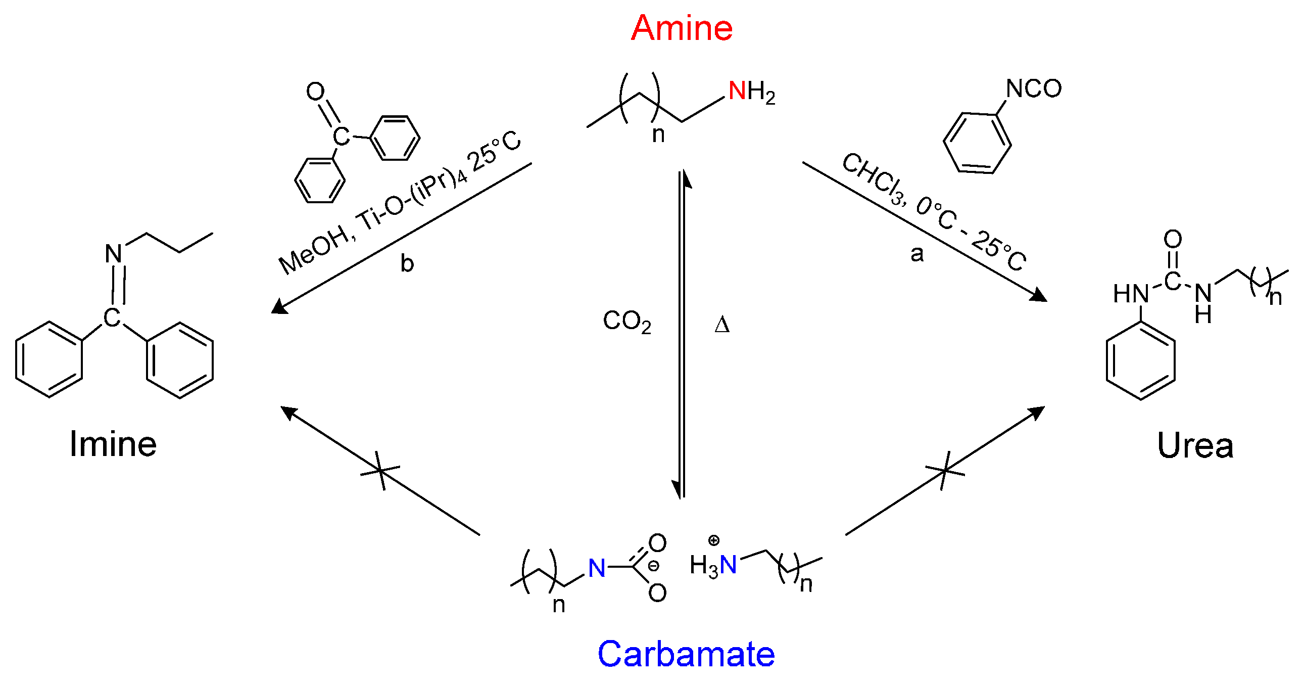 Molecules 21 00024 g005