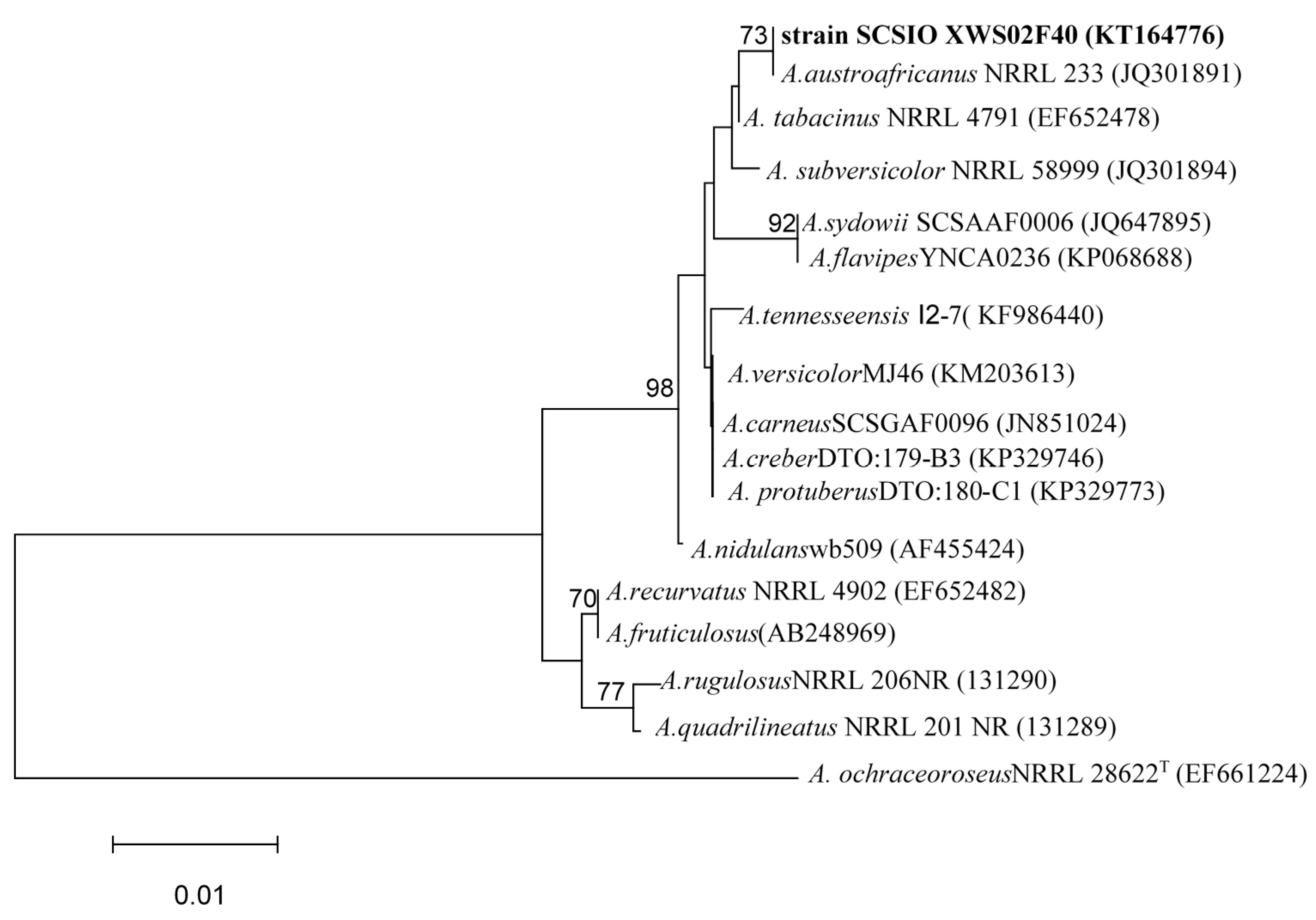 Molecules 21 00034 g006