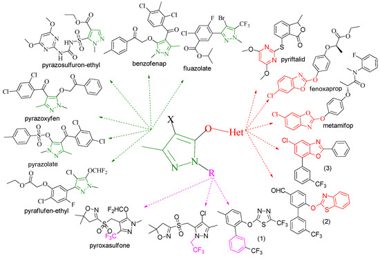 Synthesis and Herbicidal Activity of 5-Heterocycloxy-3