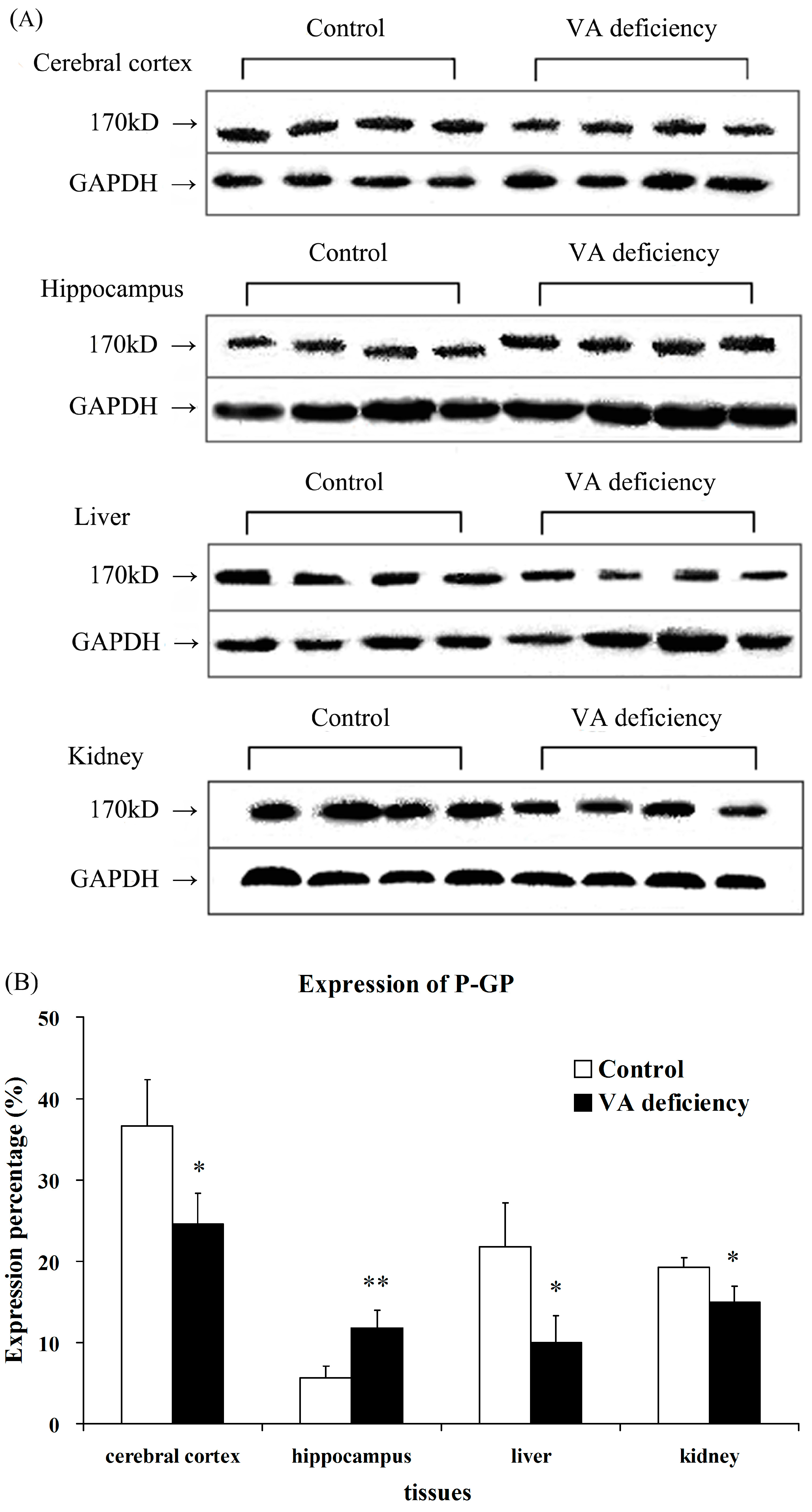 Molecules 21 00046 g002 550