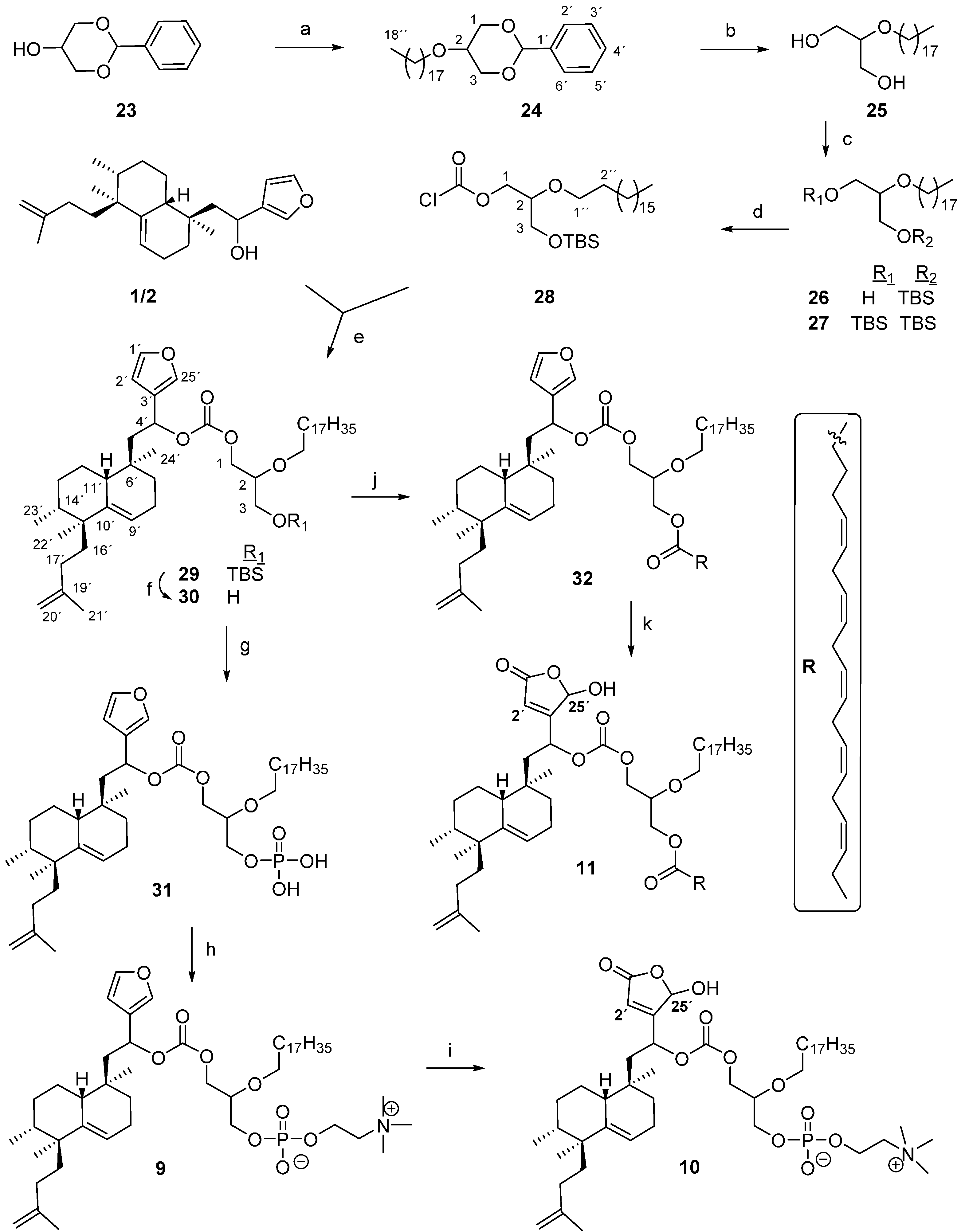 Molecules 21 00047 g004