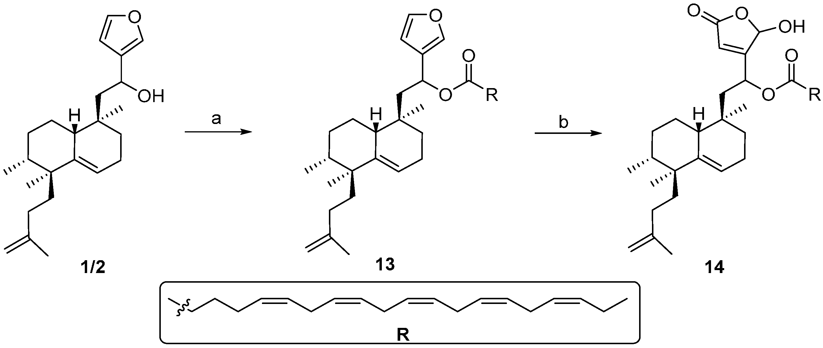 Molecules 21 00047 g006