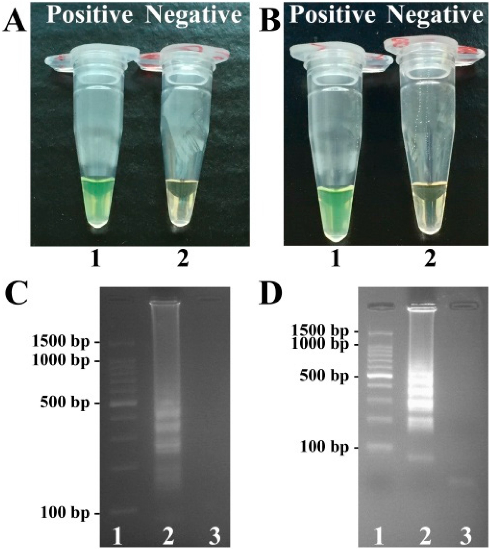 Molecules 21 00111 g001