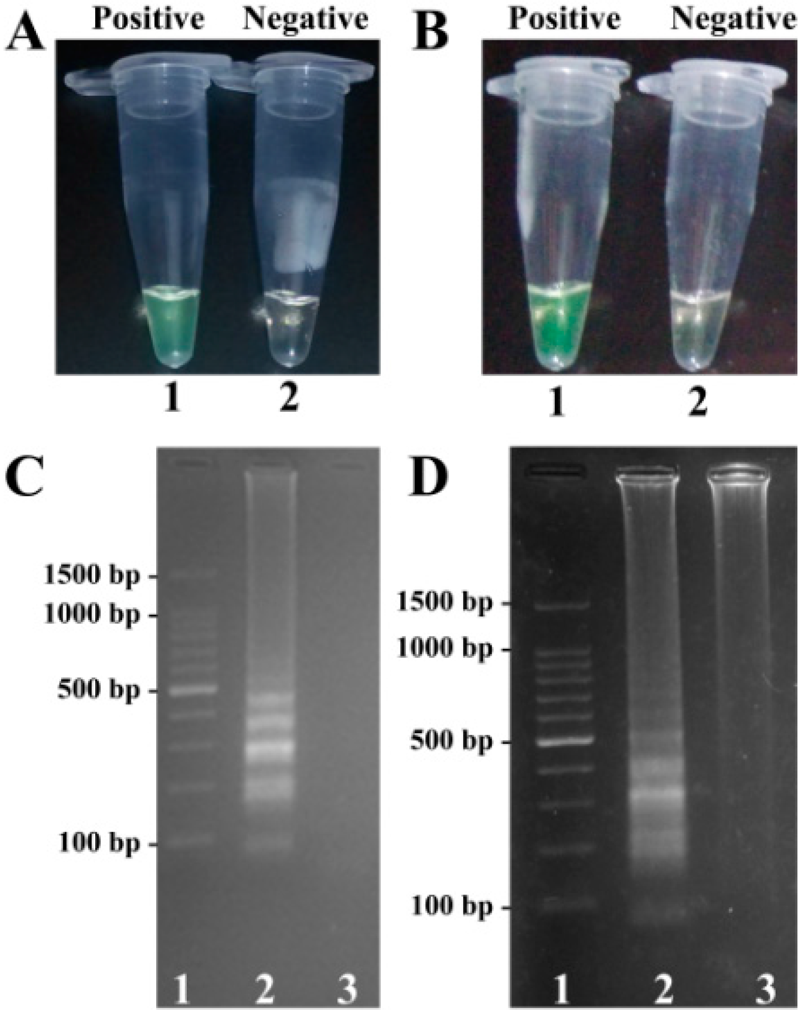 Molecules 21 00111 g003
