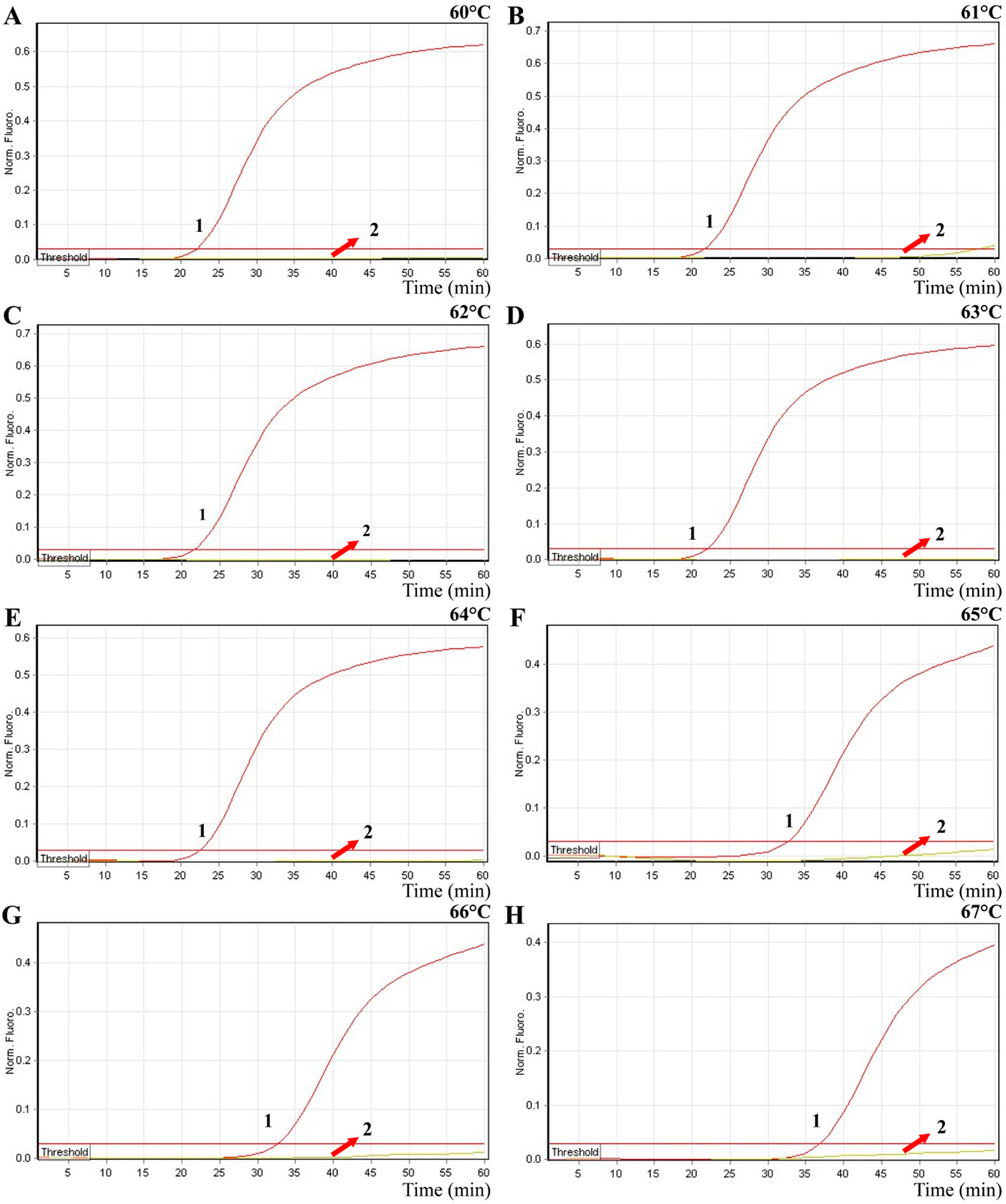 Molecules 21 00111 g004