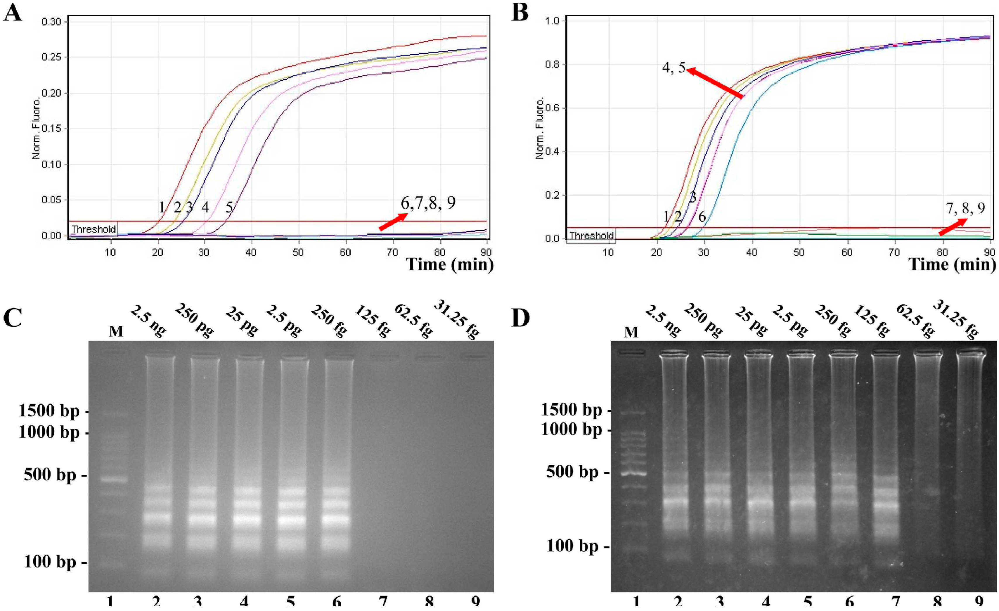Molecules 21 00111 g005