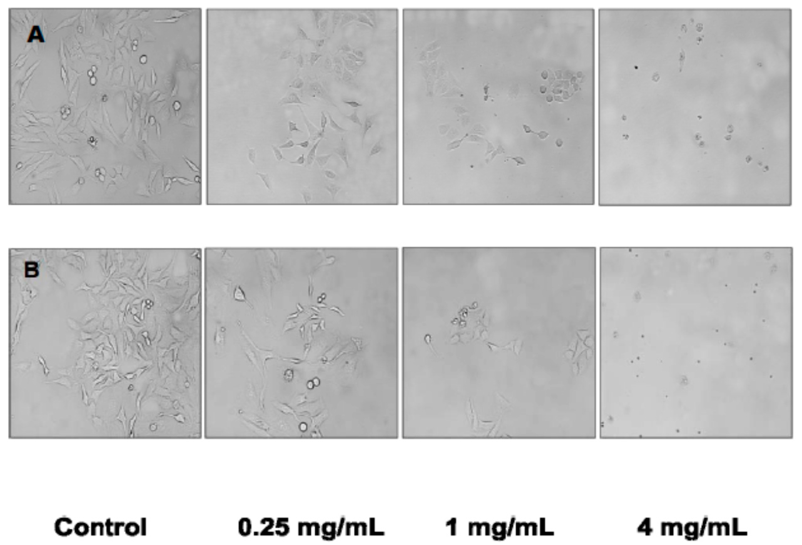 Molecules 21 00119 g003 550