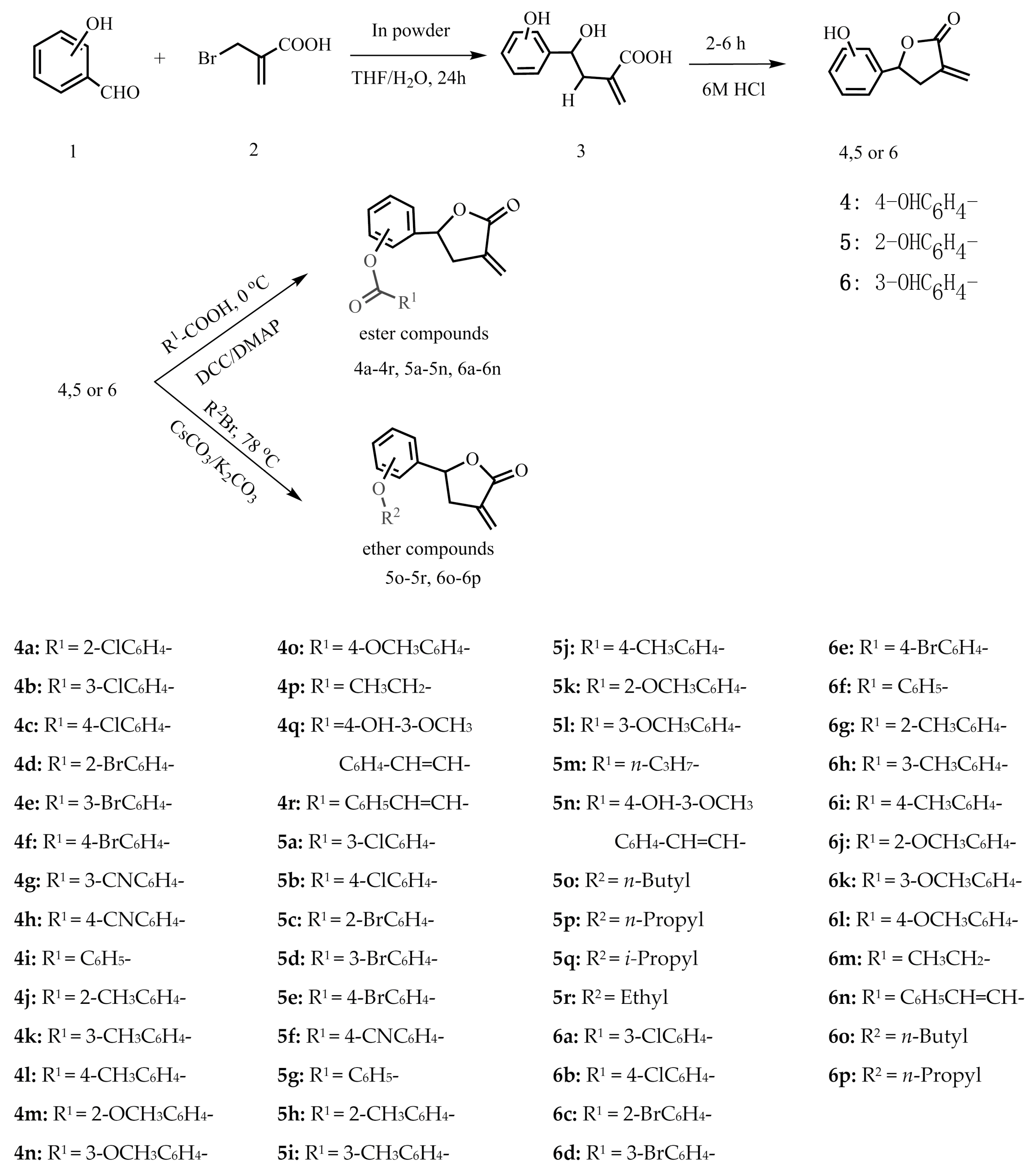 Molecules 21 00130 g005