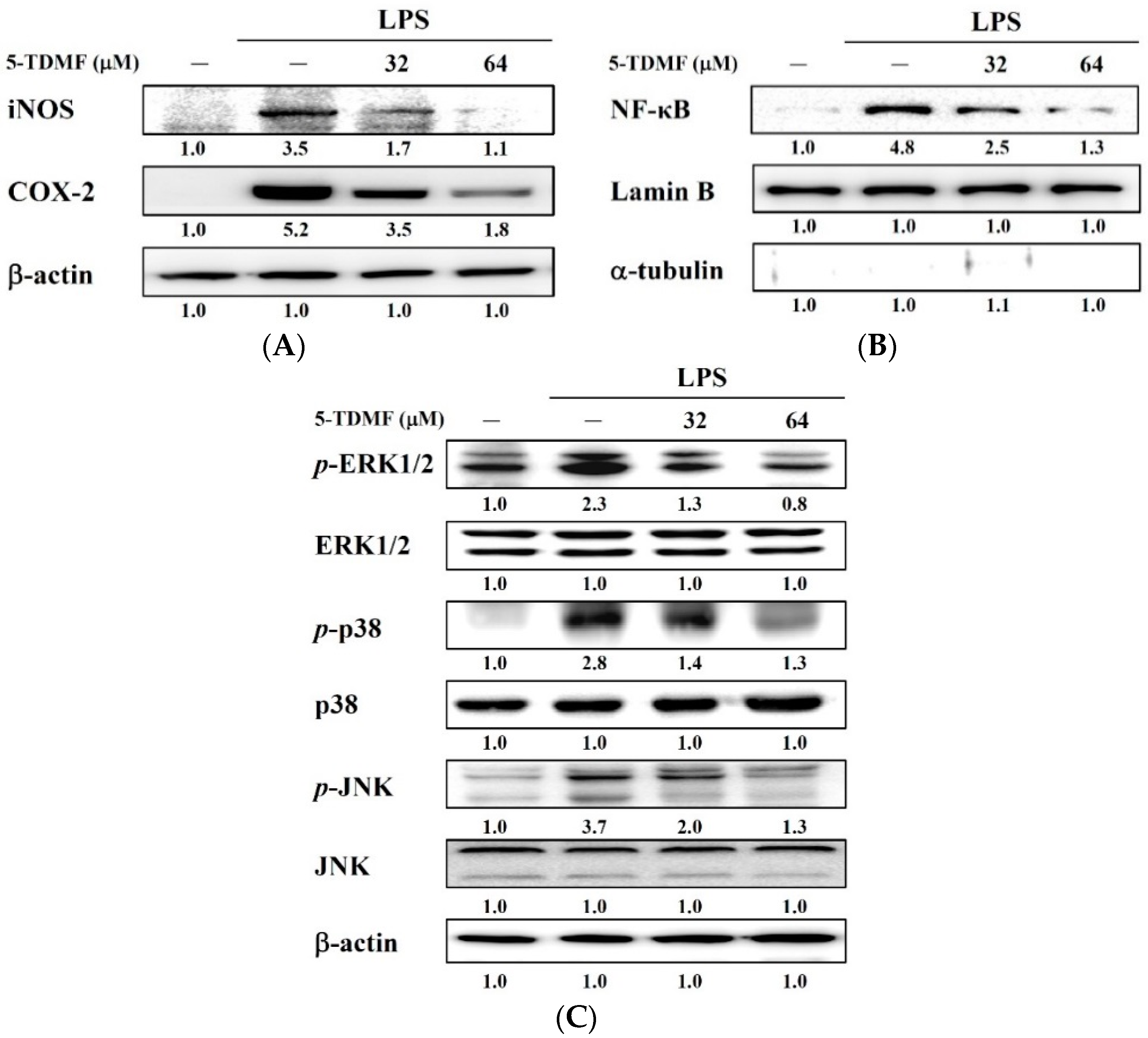 Molecules 21 00136 g006