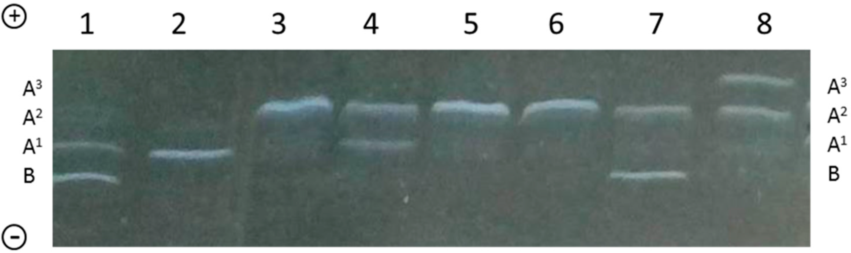Molecules 21 00141 g004