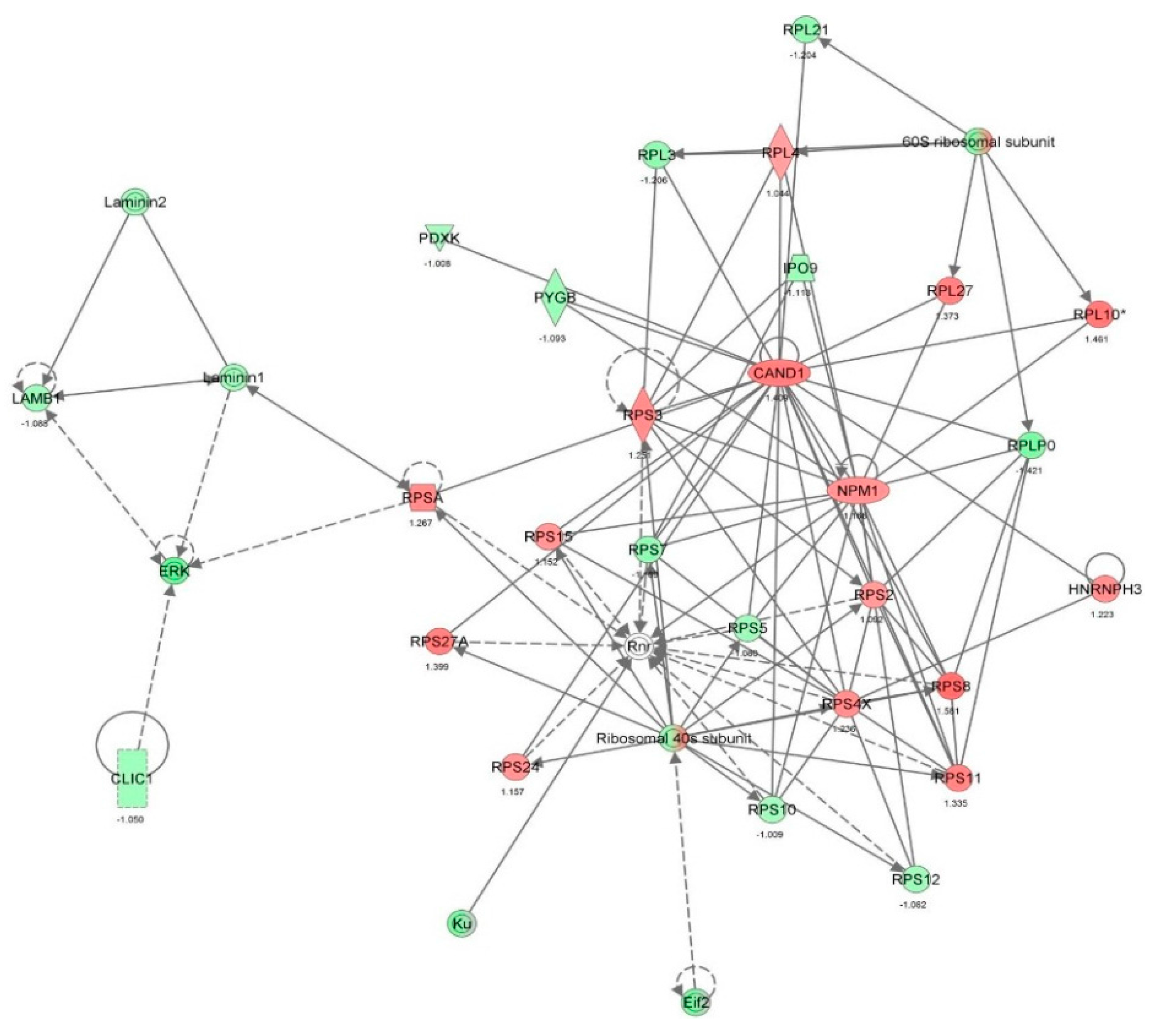 Molecules 21 00148 g005 550