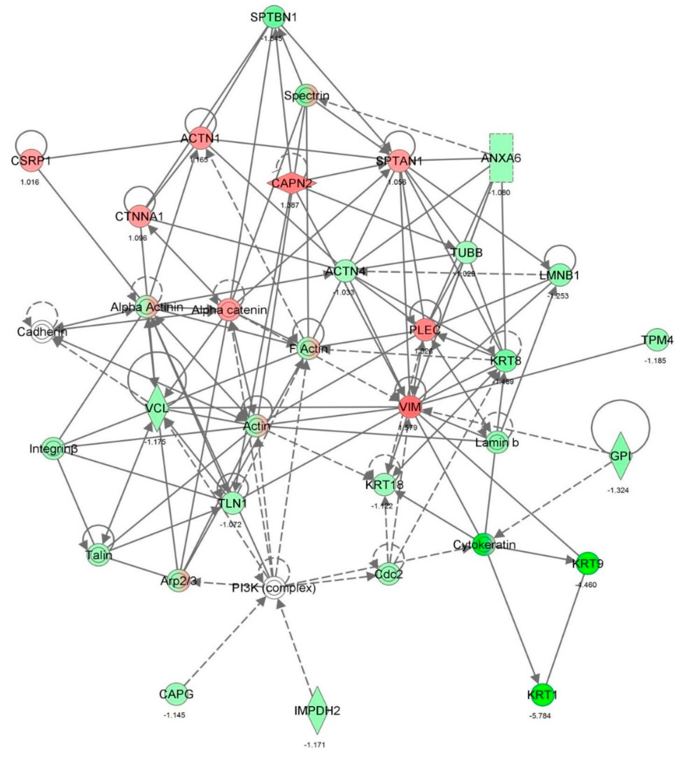 Molecules 21 00148 g014 550