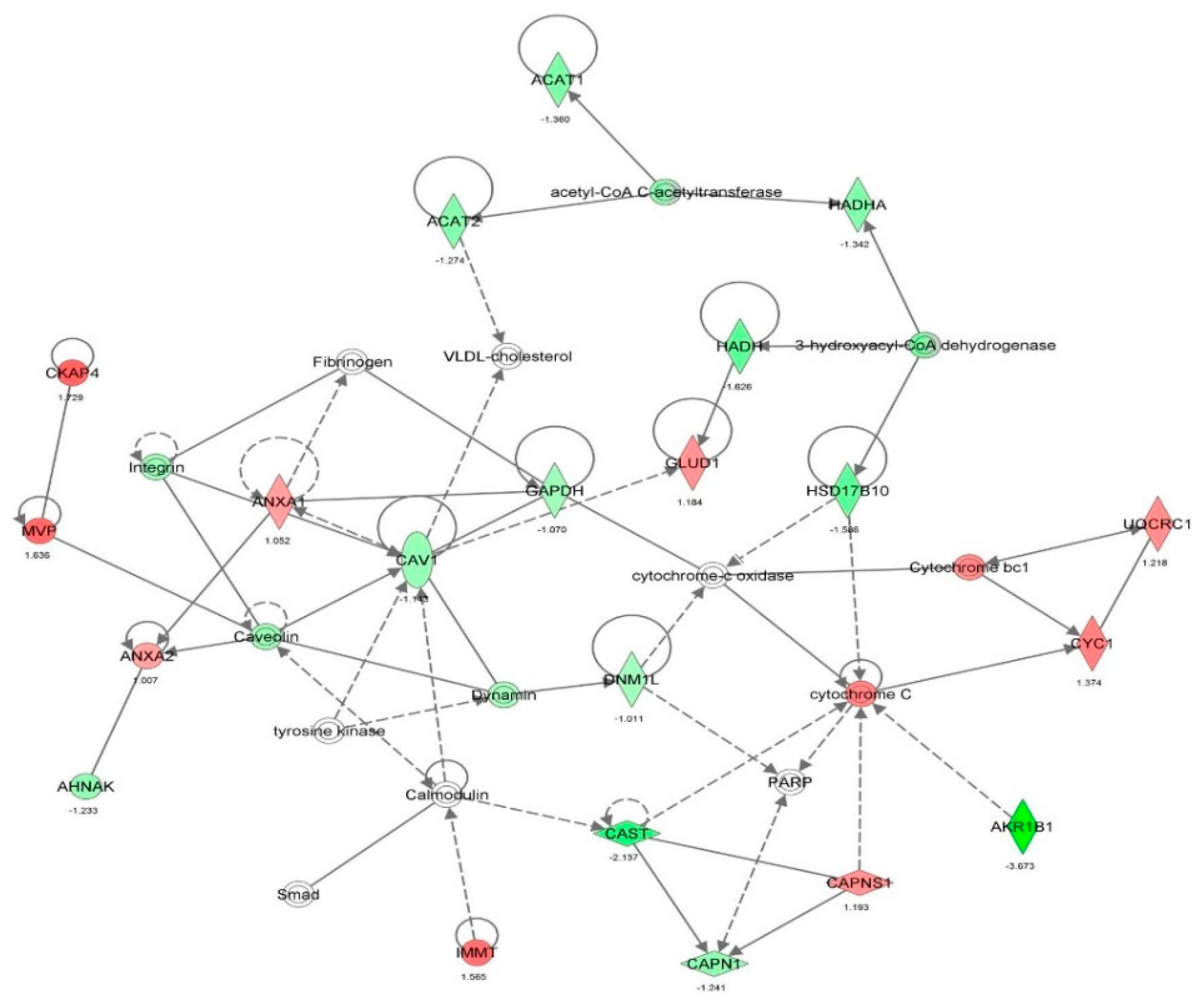 Molecules 21 00148 g016 550