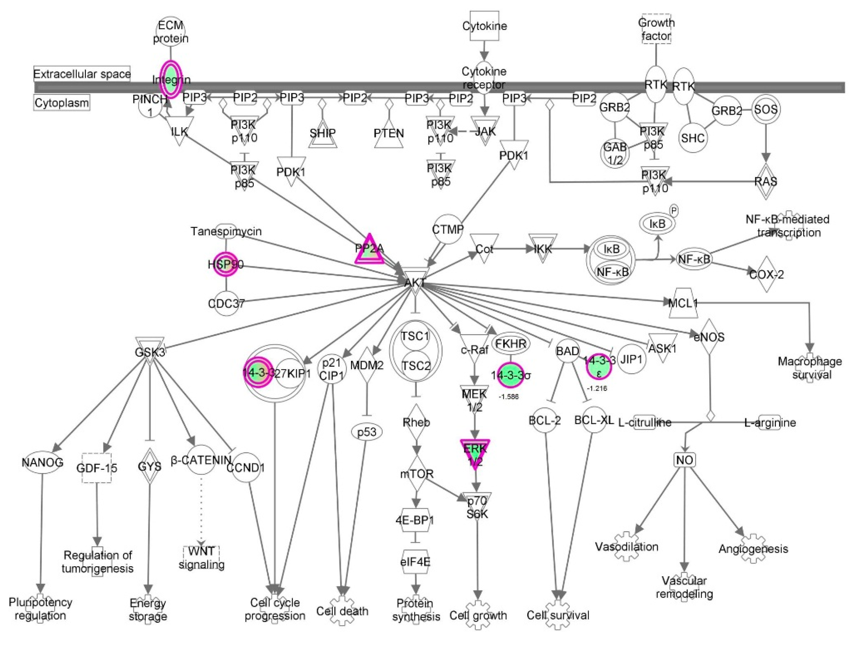 Molecules 21 00148 g029 550