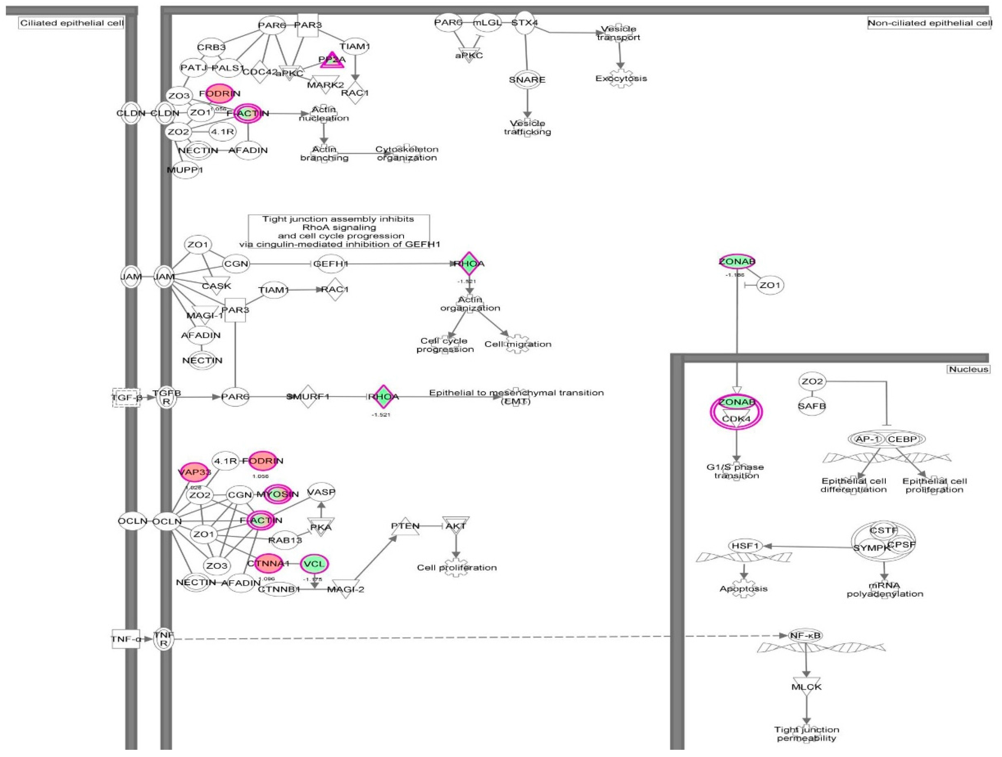 Molecules 21 00148 g033 550